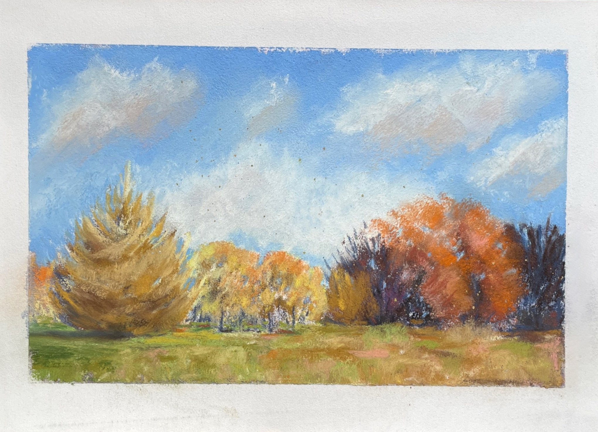 Пастель. Аня Степанова