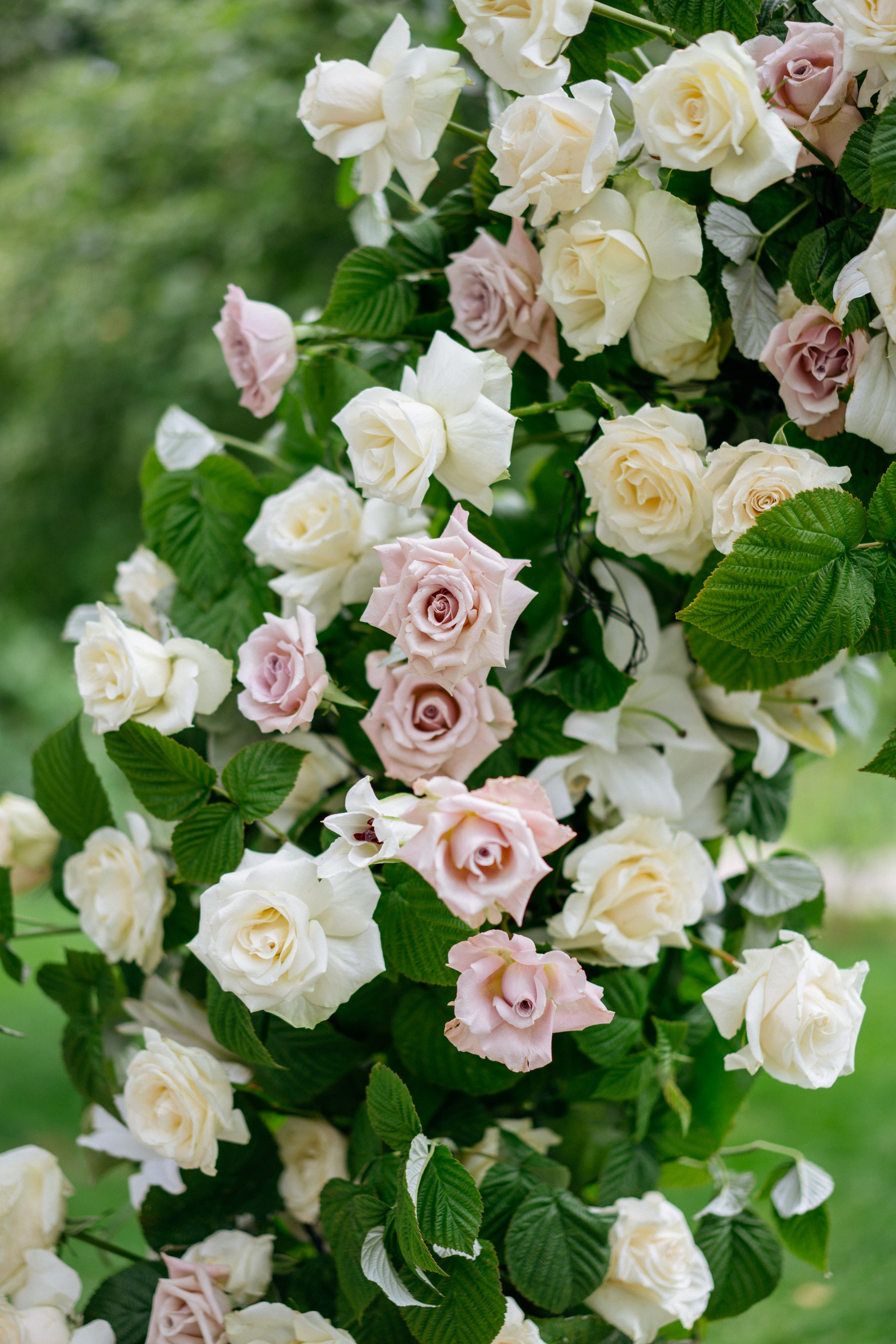 Олег и Елизавета. Свадебный и семейный фотограф в Калининграде Анастасия Гриценко