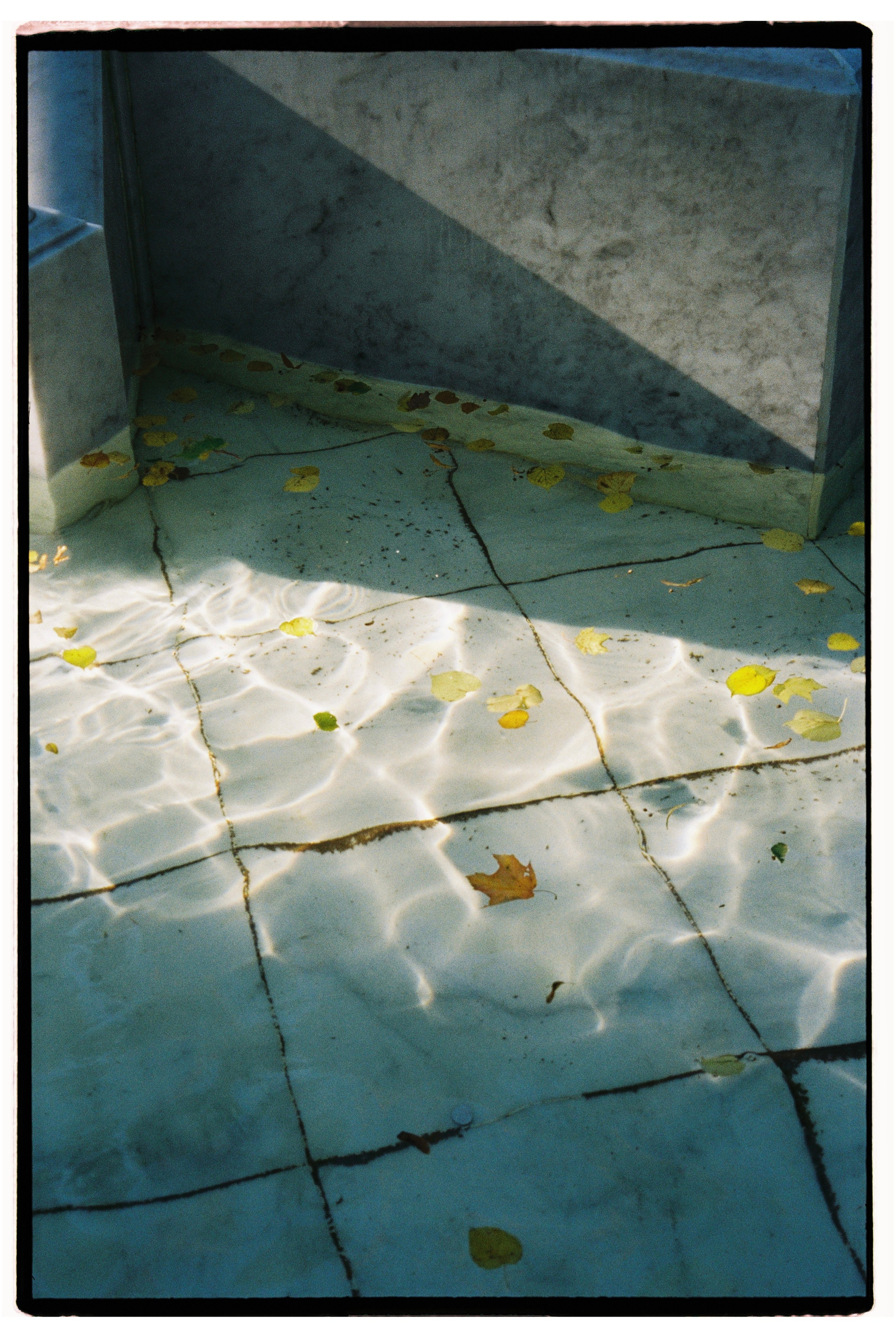 Всякие картинки