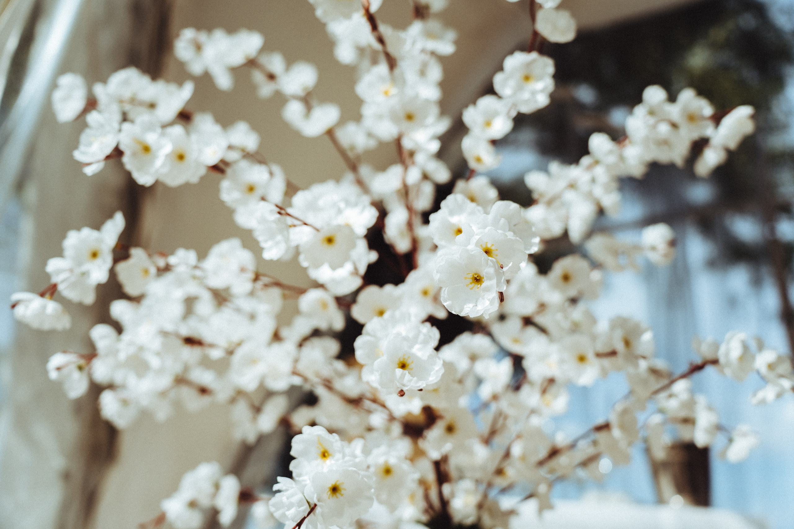 Свадьба. Свадебный и Репортажный фотограф в Москве — Шестак Константин