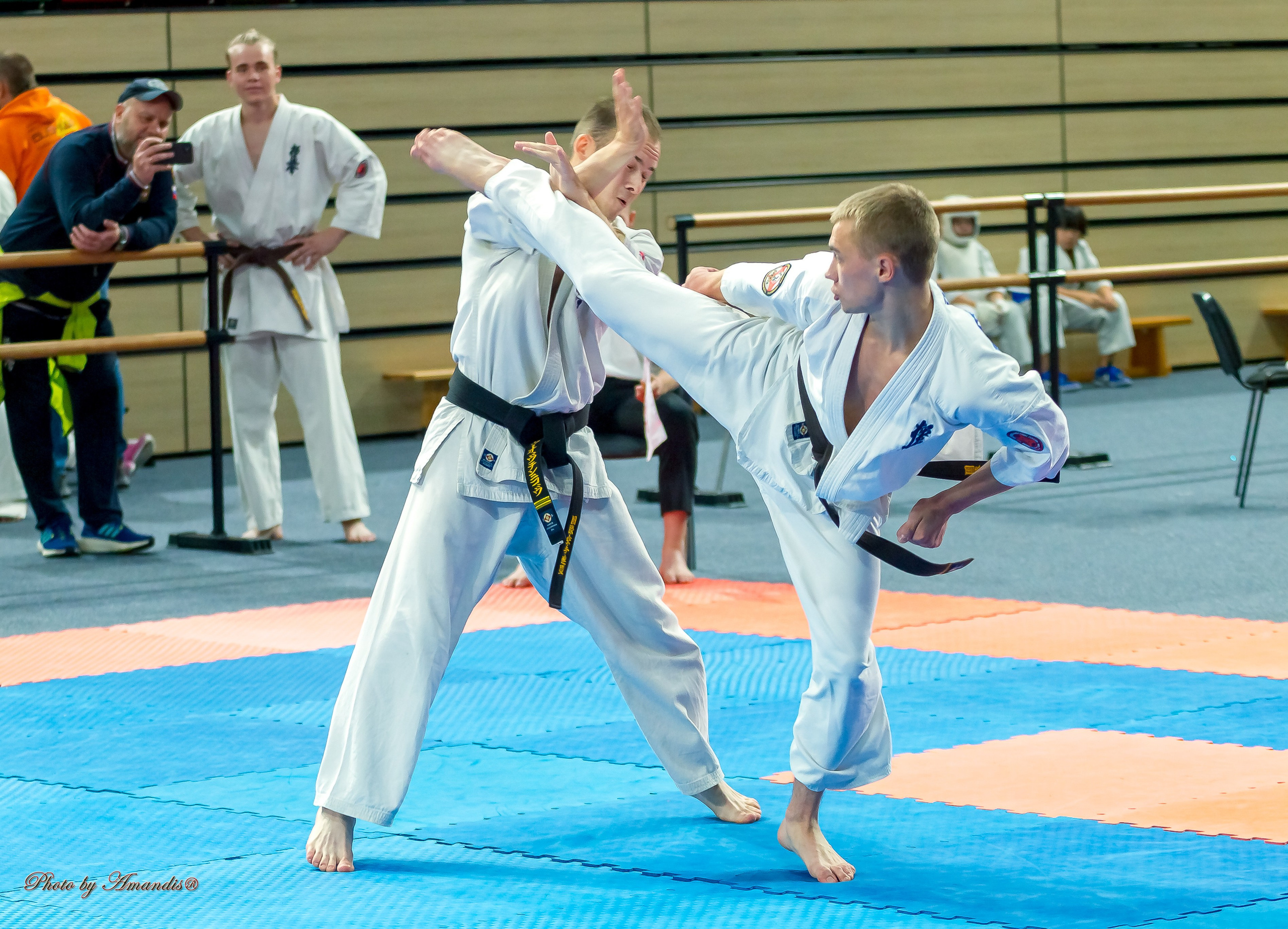 Первенство Московской области по Киокушин в СК «Жаворонки». Репортажная съемка в Москве и области. Анималистика