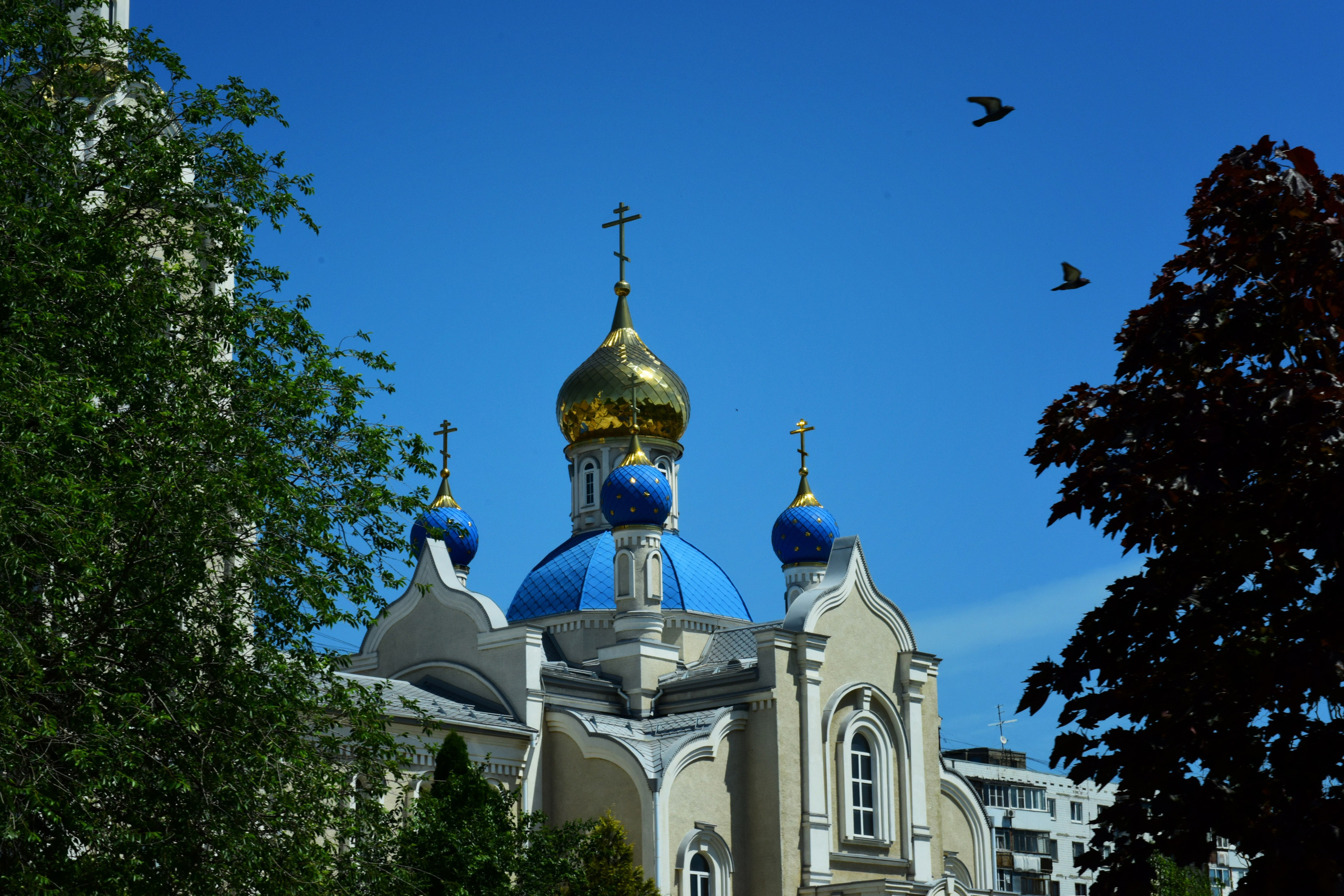 РОСТОВ. Фотограф Глеб Садов