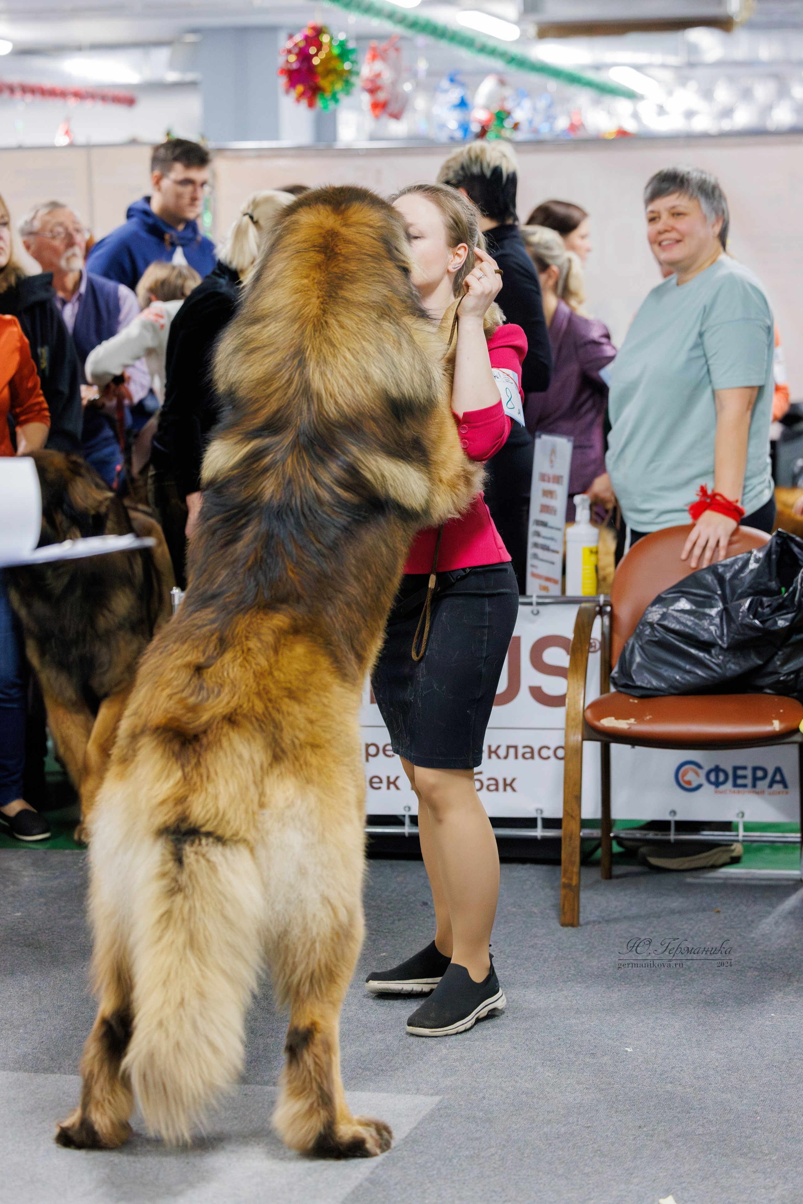 Крокус 21.12.2024,Сфера 29.12.2024. Фотограф-анималист Юлия Германика