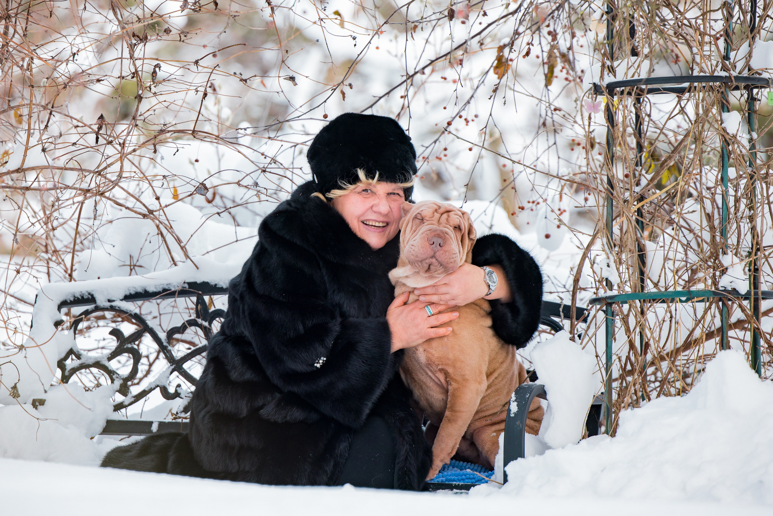 В гостях у шарпеев 16.01.2024. Фотограф-анималист Юлия Германика