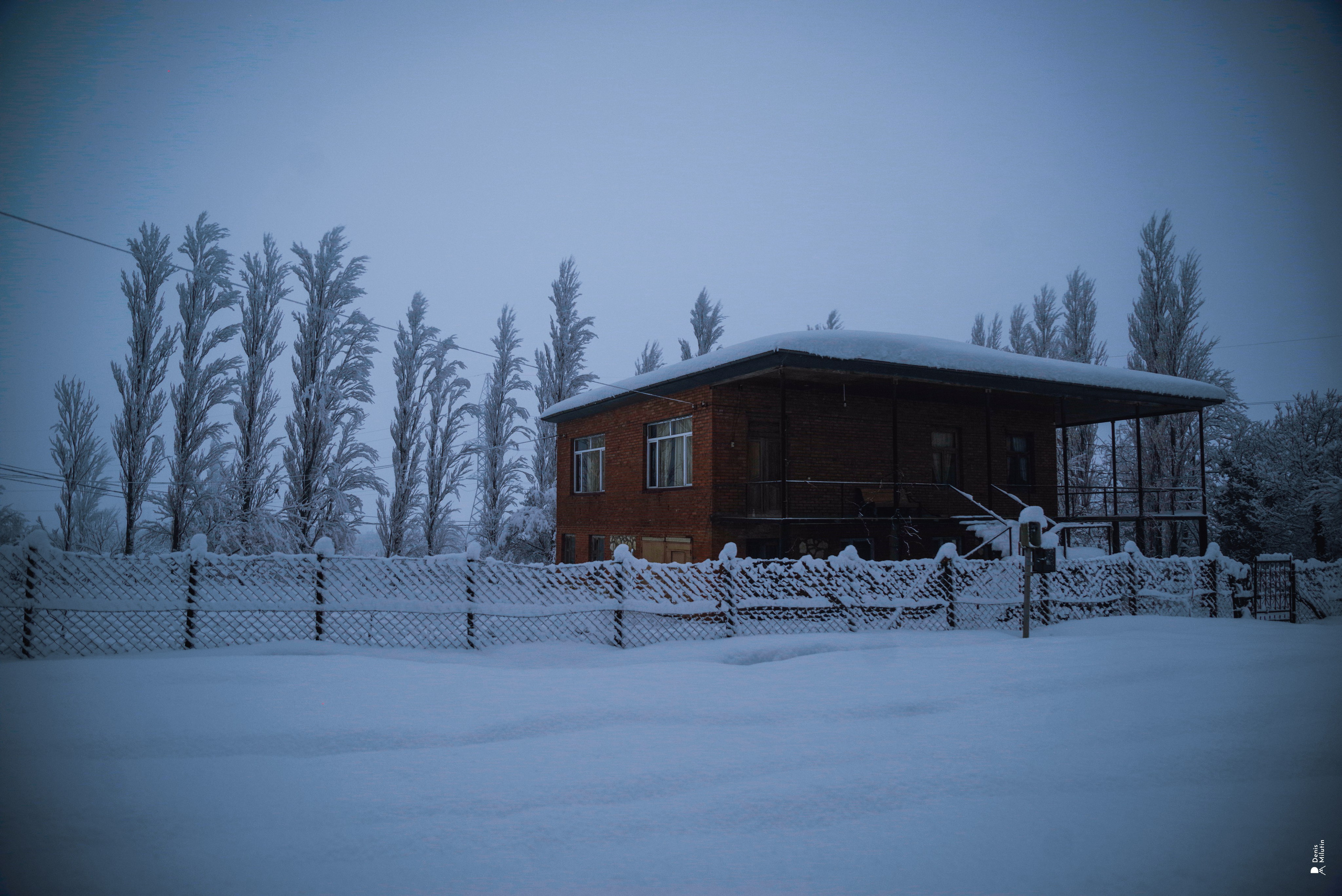 Спящий Менджи зимой. Портретный фотограф Денис Милютин