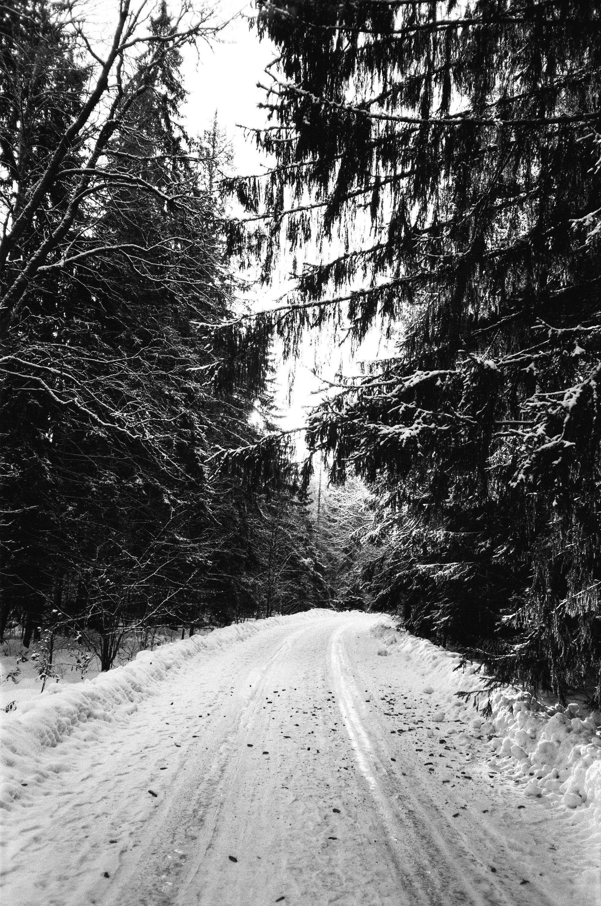 Nikon Action Touch (L35AW) / SFL T-25 / Давыдовское