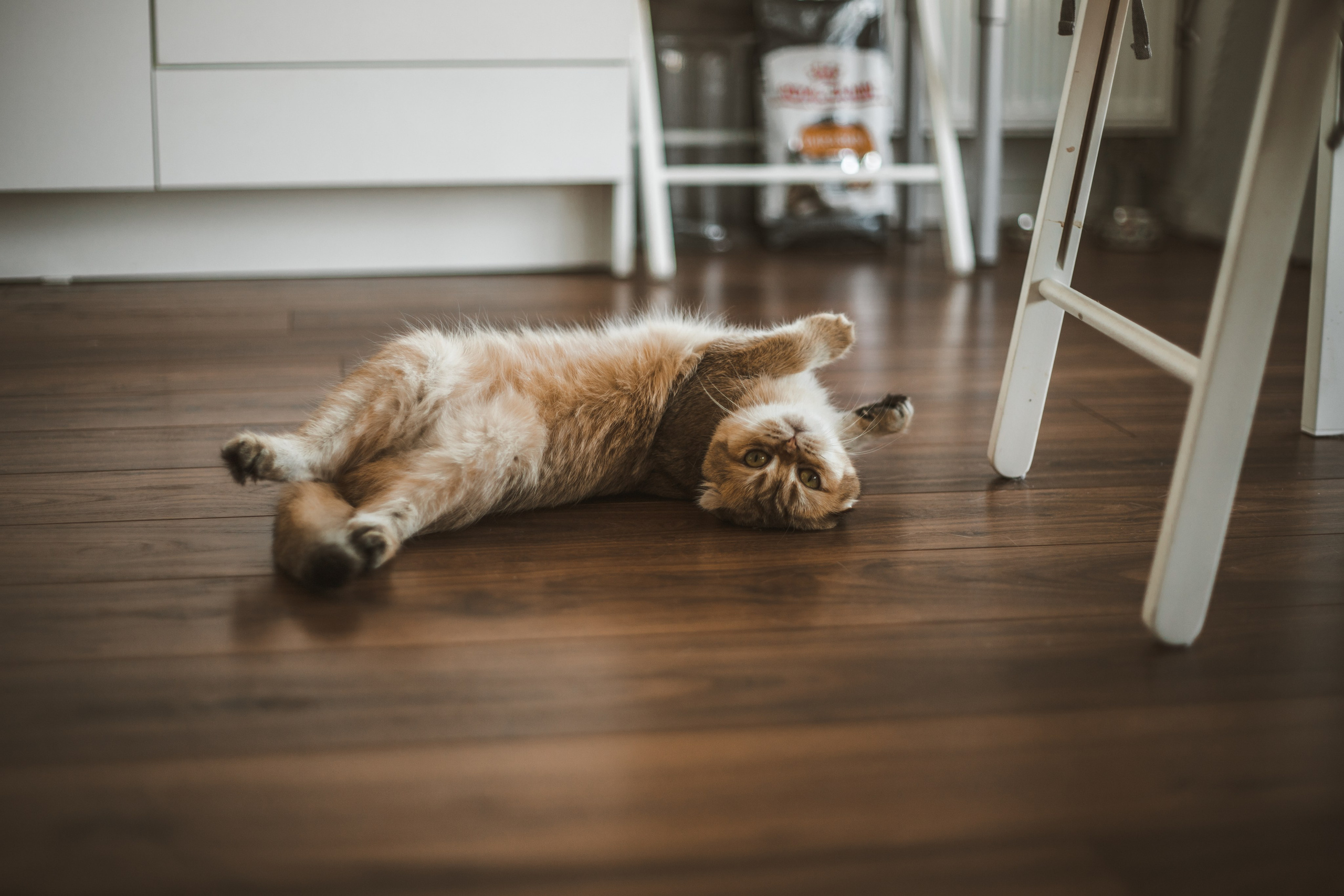 Фотограф Сочи, Адлер, Красная Поляна — Вероника Радченко