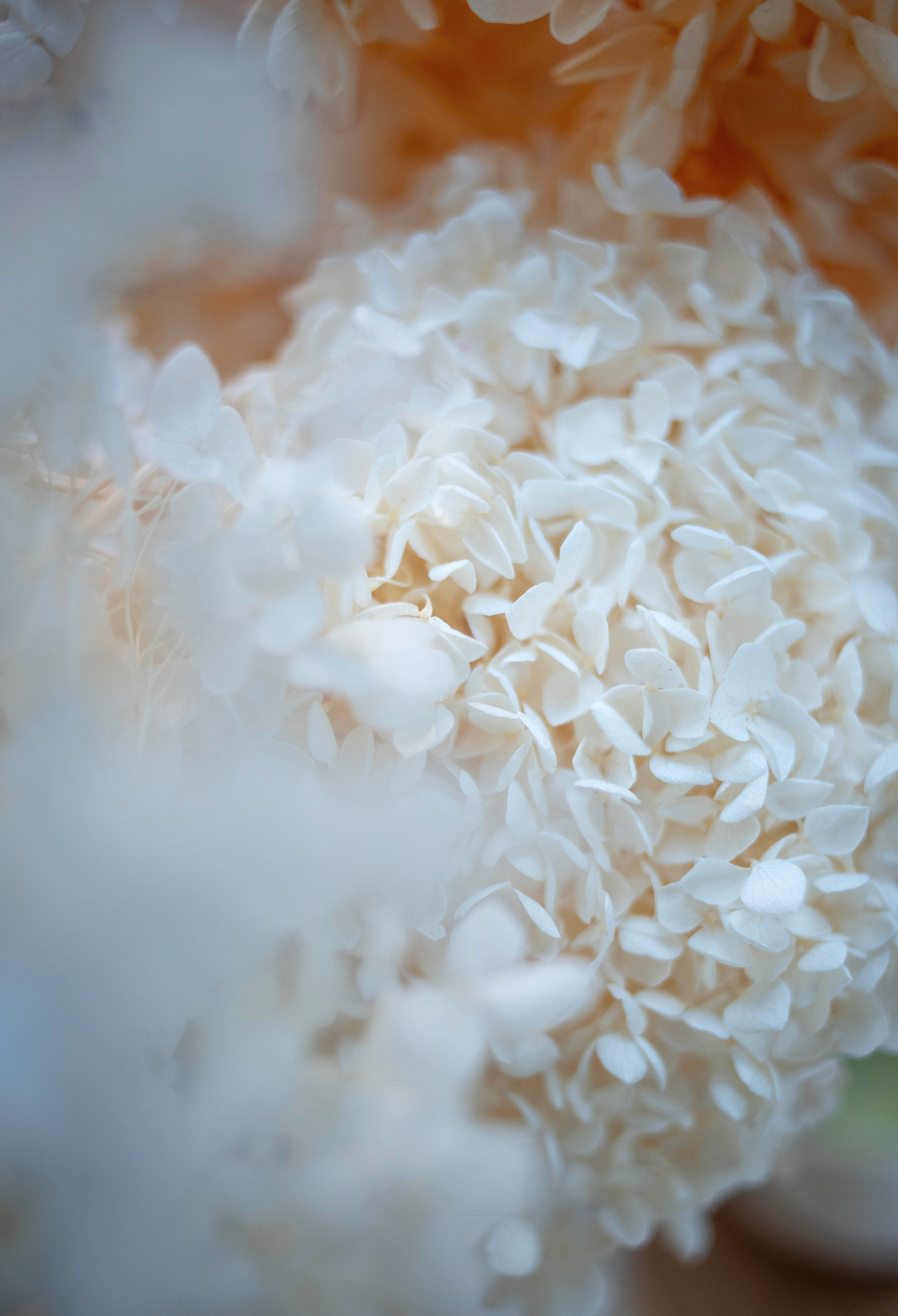 Готовая лента для Инстаграм. Смм специалист. Фотограф в Краснодаре Евгения Михаевич