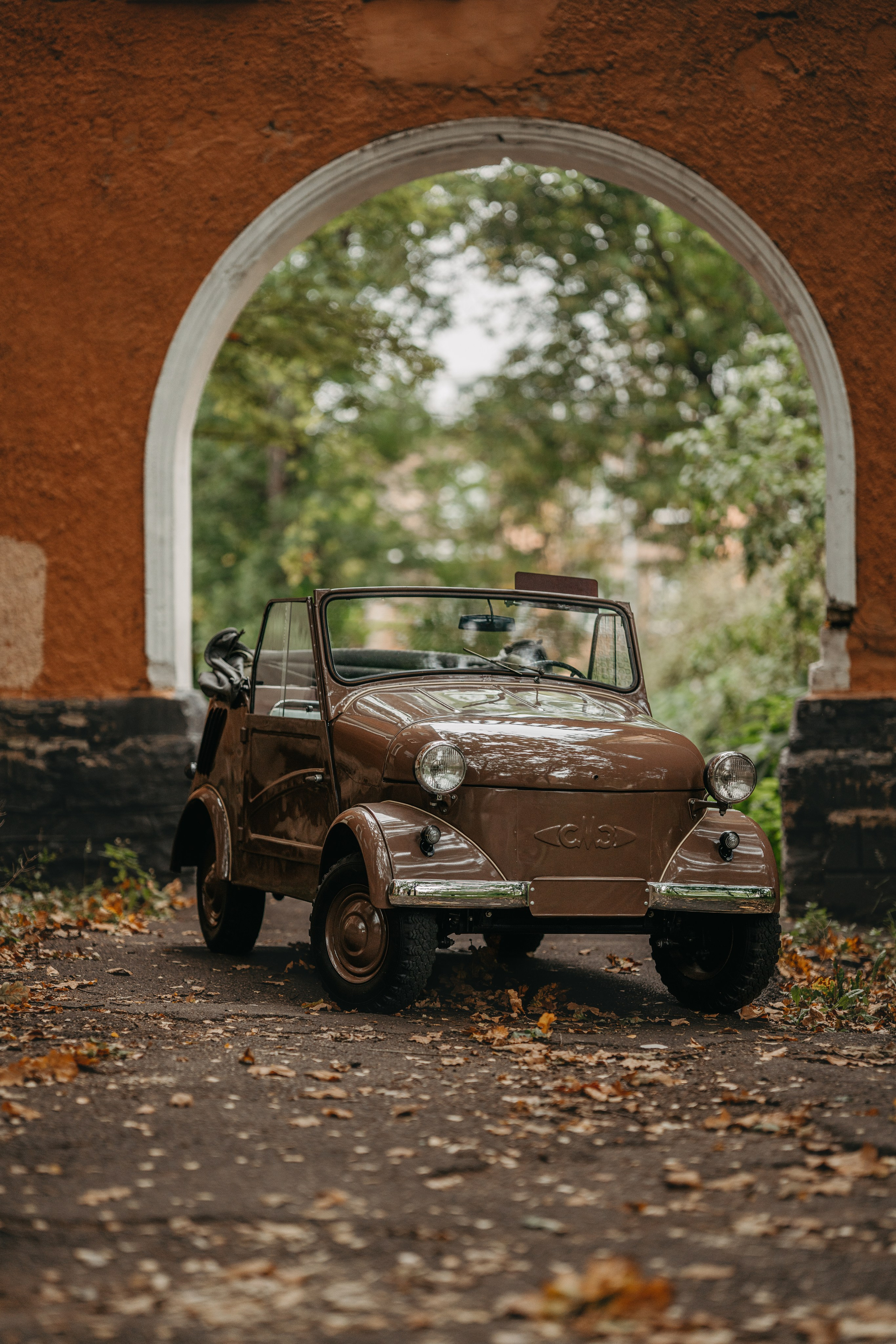 СМЗ С-3А. Фотограф в Санкт-Петербурге Мария Александрова