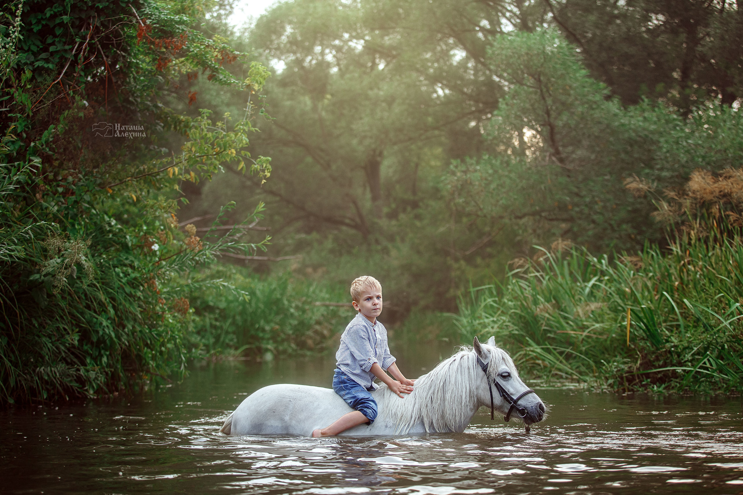 Детская сказка. Детский фотограф и фотограф новорожденных в Воронеже Наташа Алехина