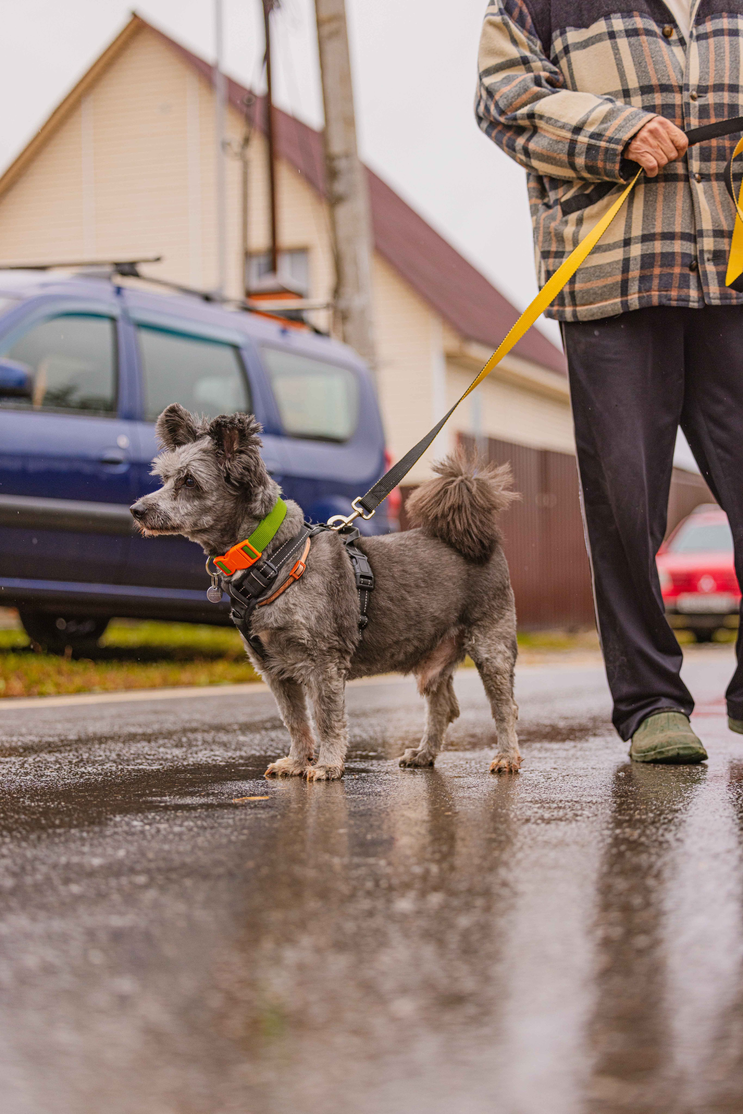 Передержка. Фотограф-анималист в Москве Лера Черноног