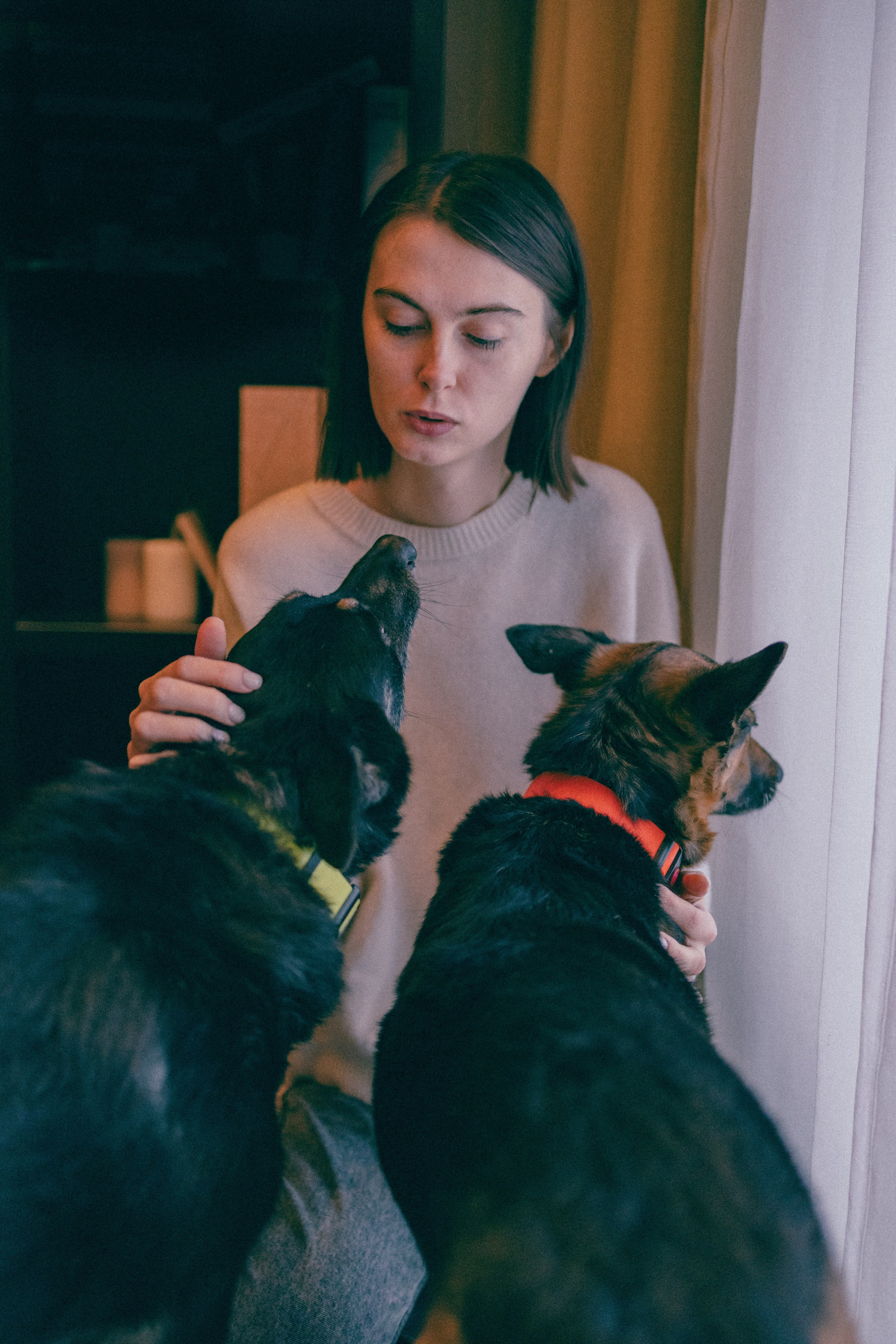 Ника, Матиша и Герда. Фотограф-анималист в Москве Лера Черноног