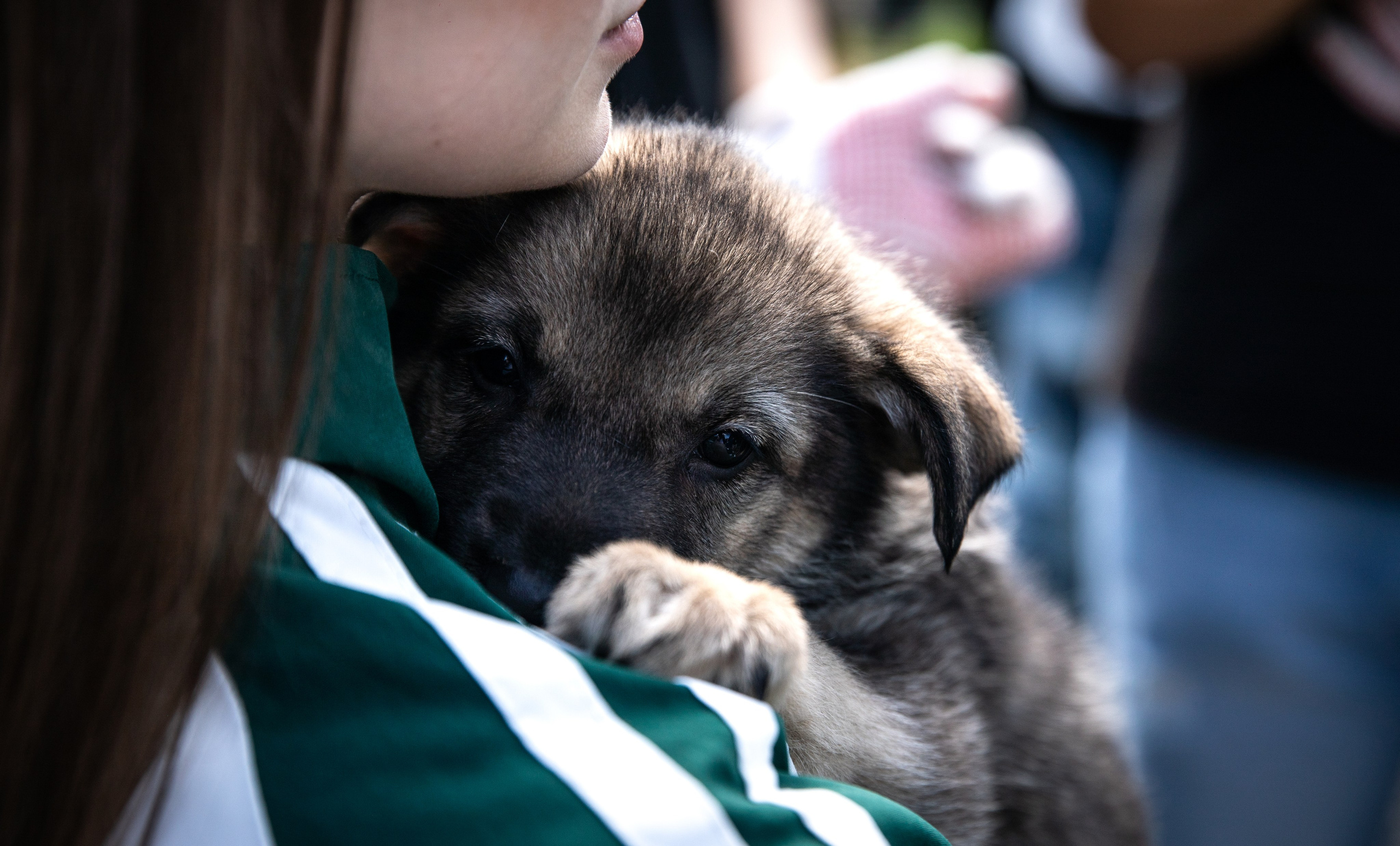 Приют — Наш дом. Репортажный и свадебный фотограф в Челябинске Елисеев Павел
