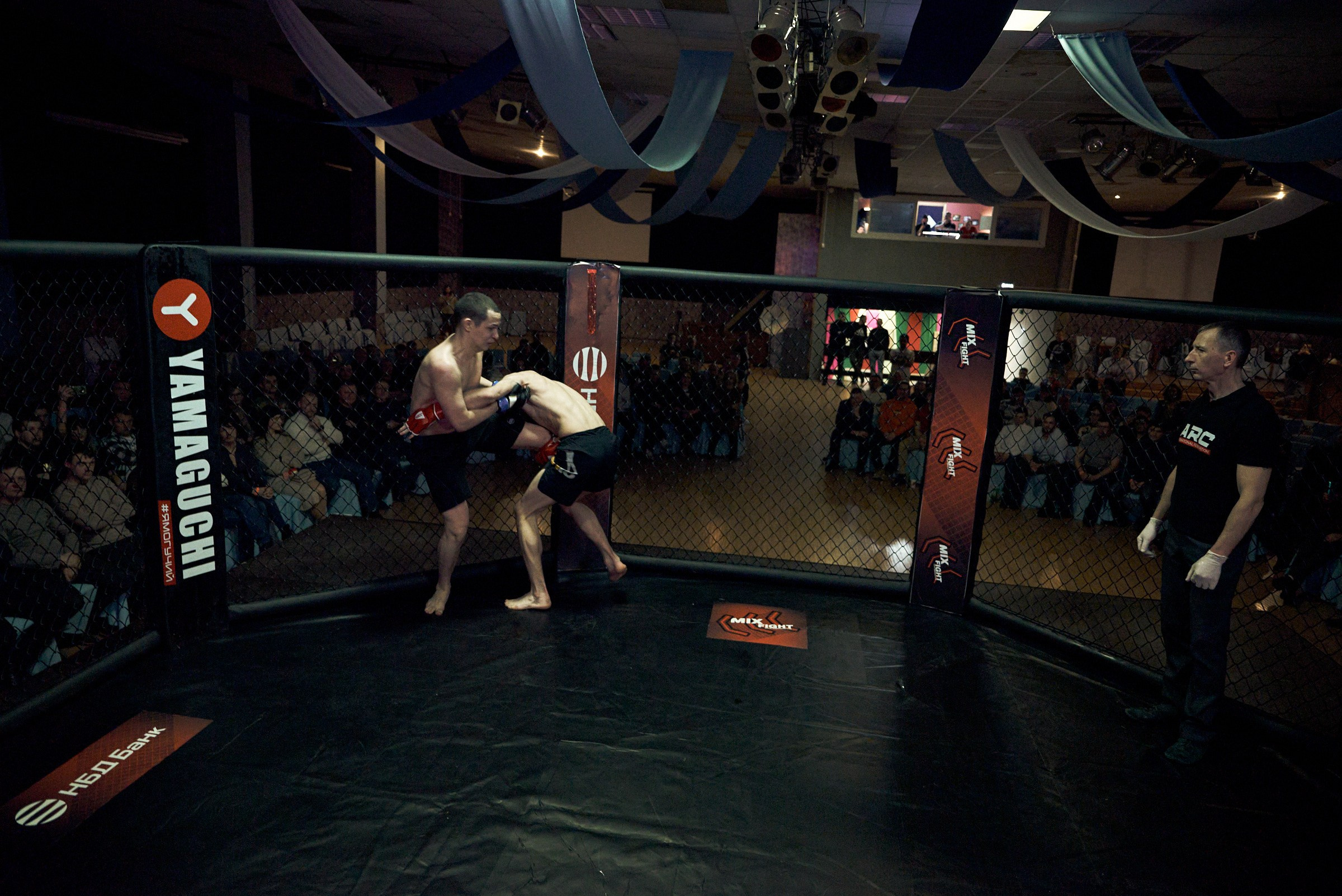 Бои. Маляревич Дмитрий свадебный фотограф