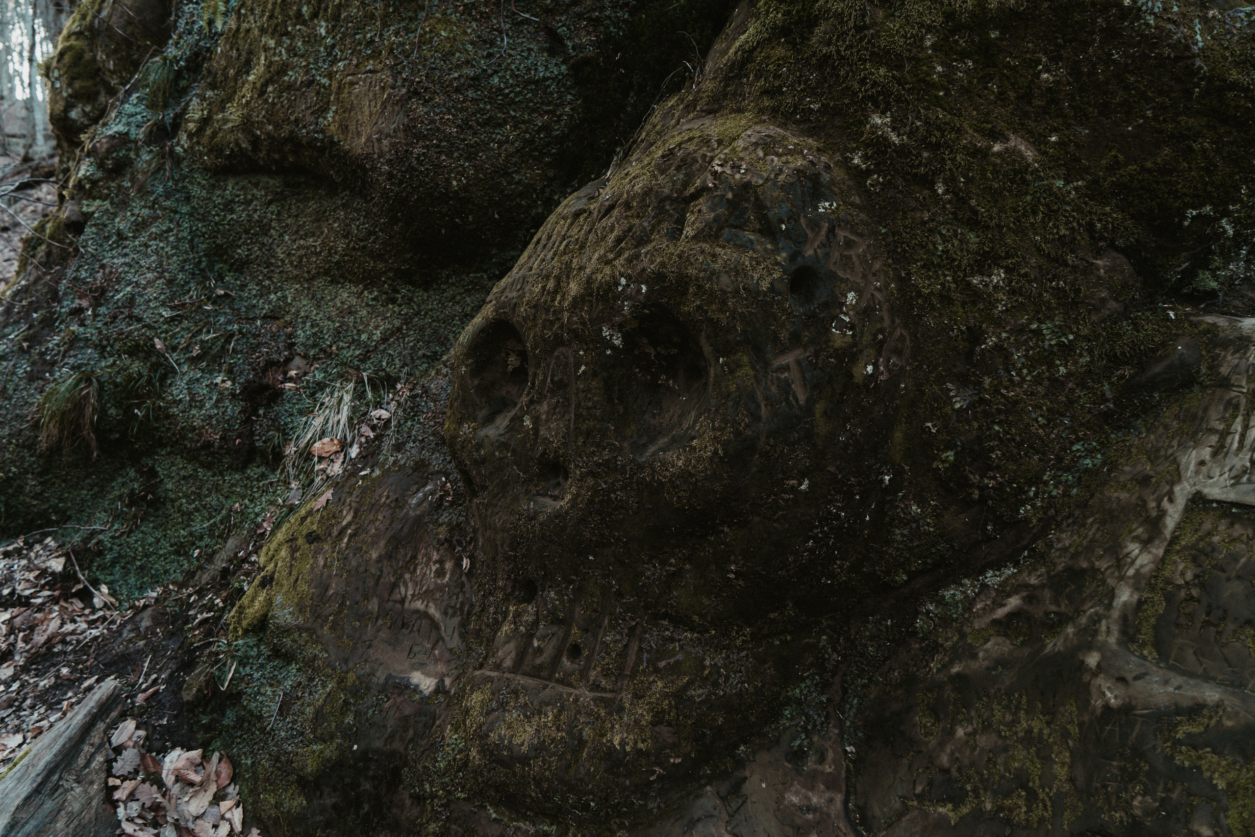 Природа. Свадебный и семейный фотограф/видеограф в Краснодаре Наталья Осинская