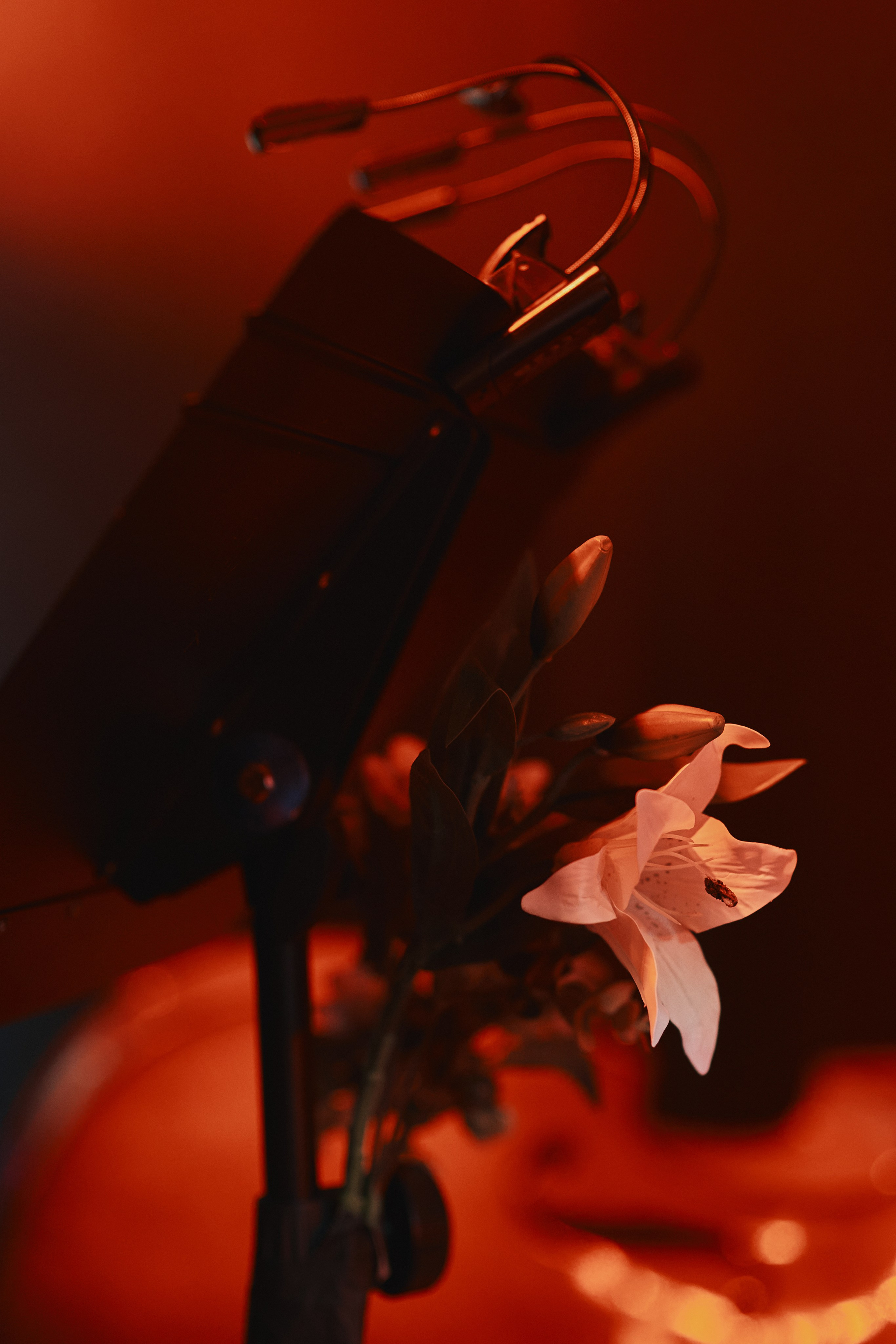 Saphath. “Симфония пепла” (повтор). Eugene Kim
