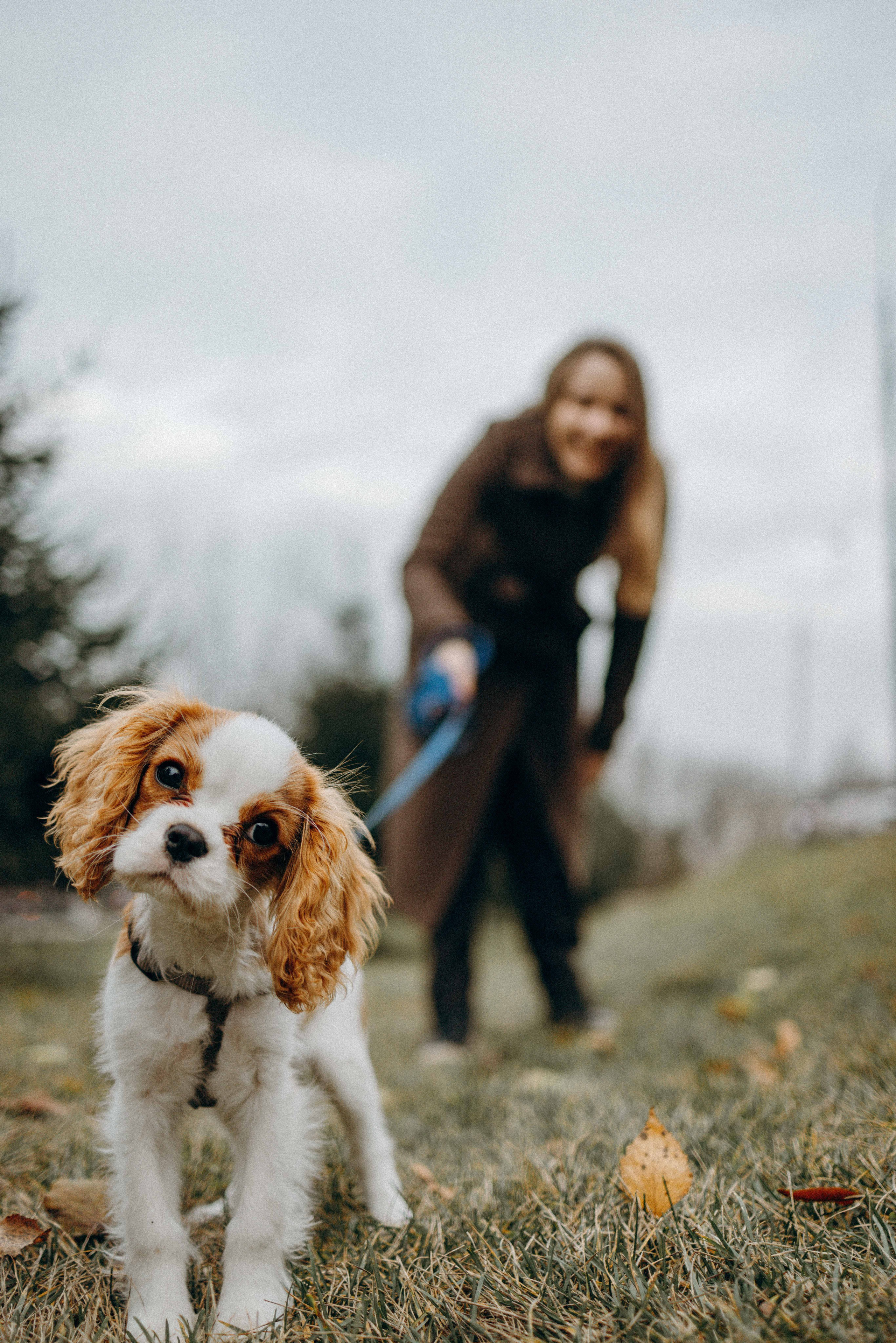 Юля и Кипр. Фотограф-анималист в Москве Лера Черноног