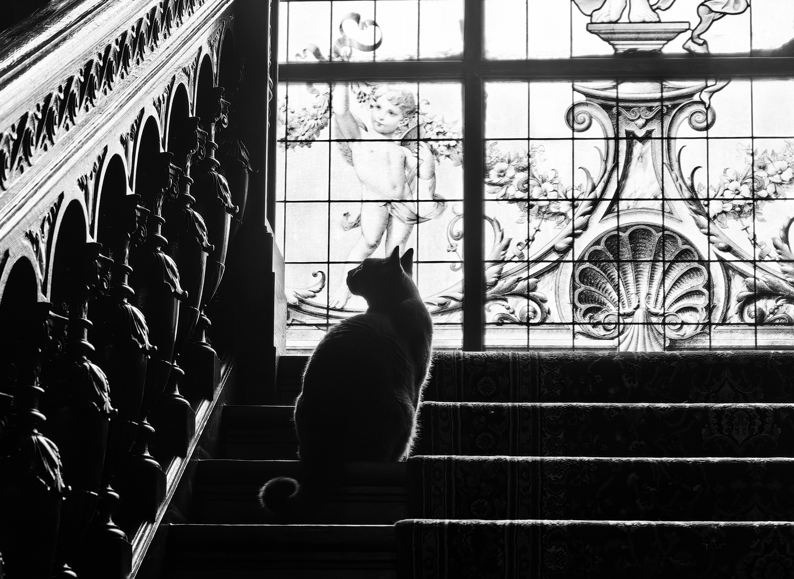 Уличная съемка. Фотограф и оператор Илья Гунбин