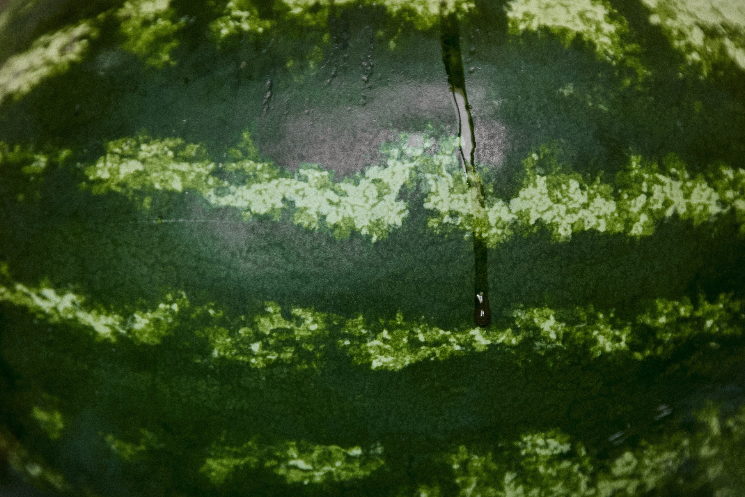 Свадьба Максима и Даши. Свадебный фотограф в Ульяновске Александр Никитин