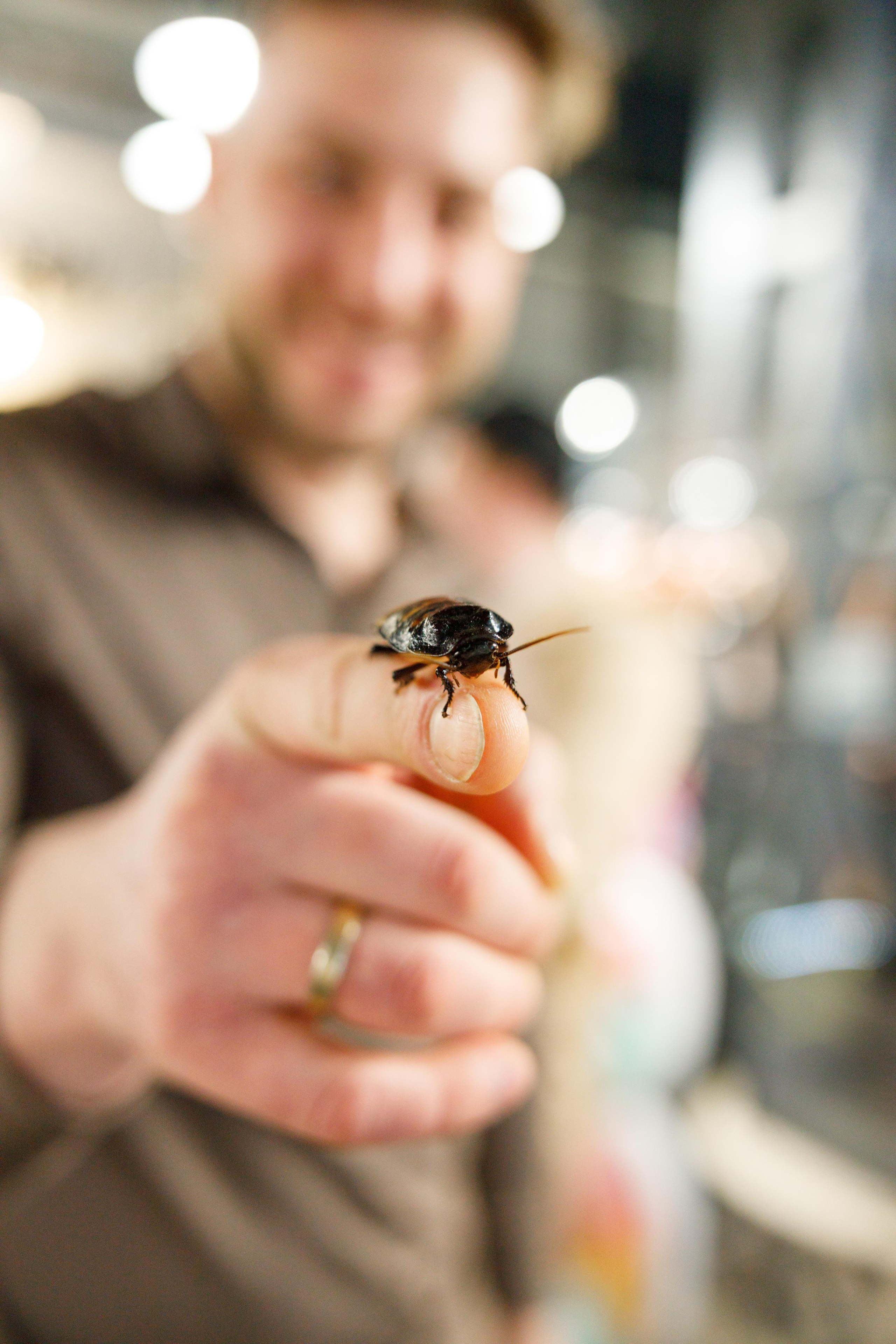 Репортаж. Портретный и семейный фотограф в Москве Стаховская Елена