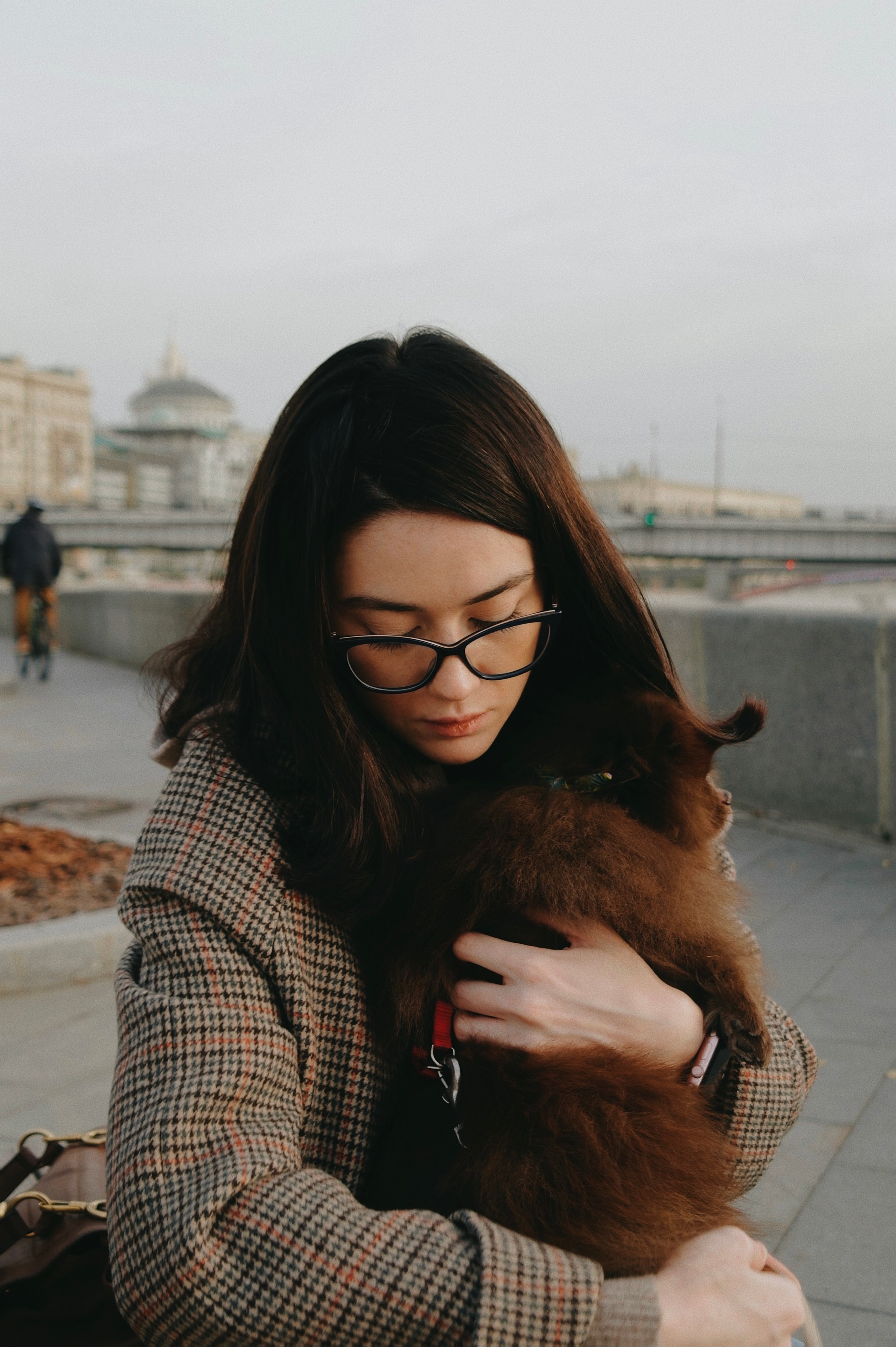 Питомцы. Татьян гертье