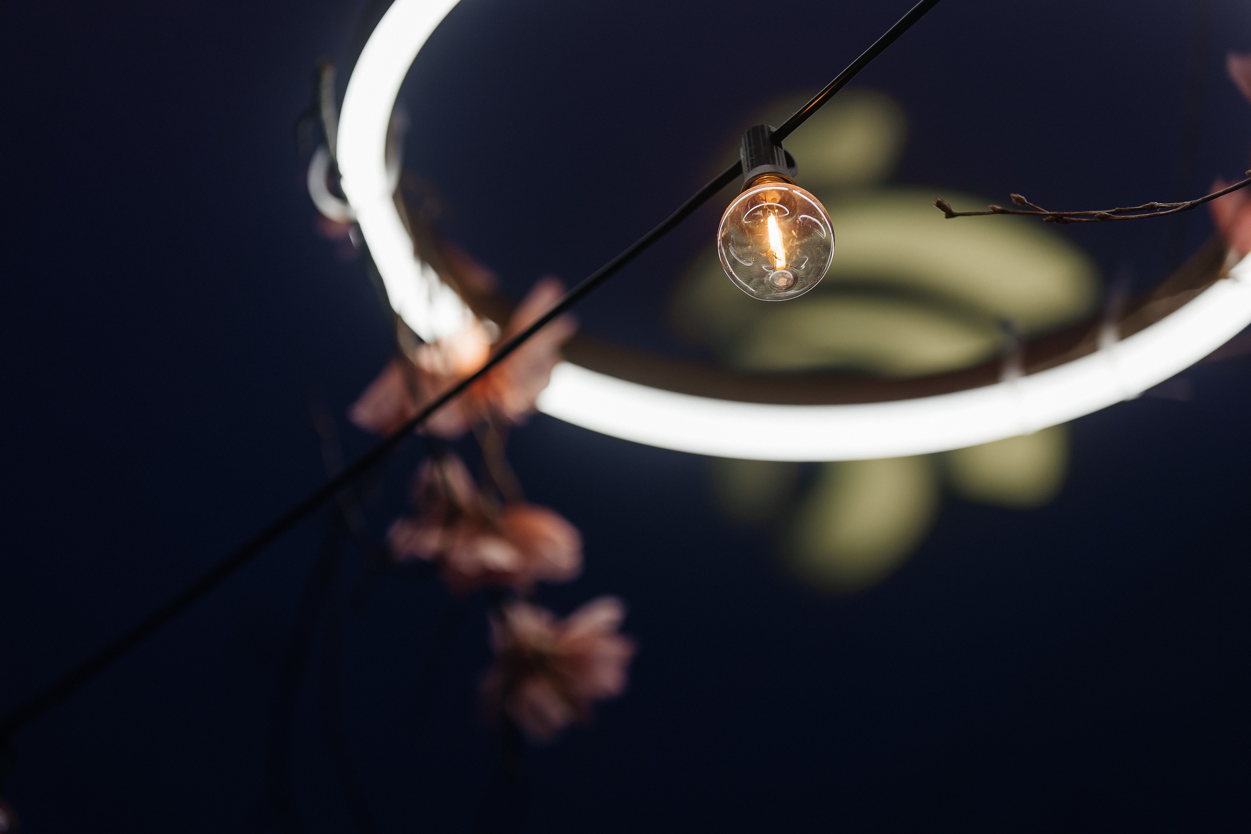 РУСАЛ 65 ЛЕТ. Фотограф в Красноярске