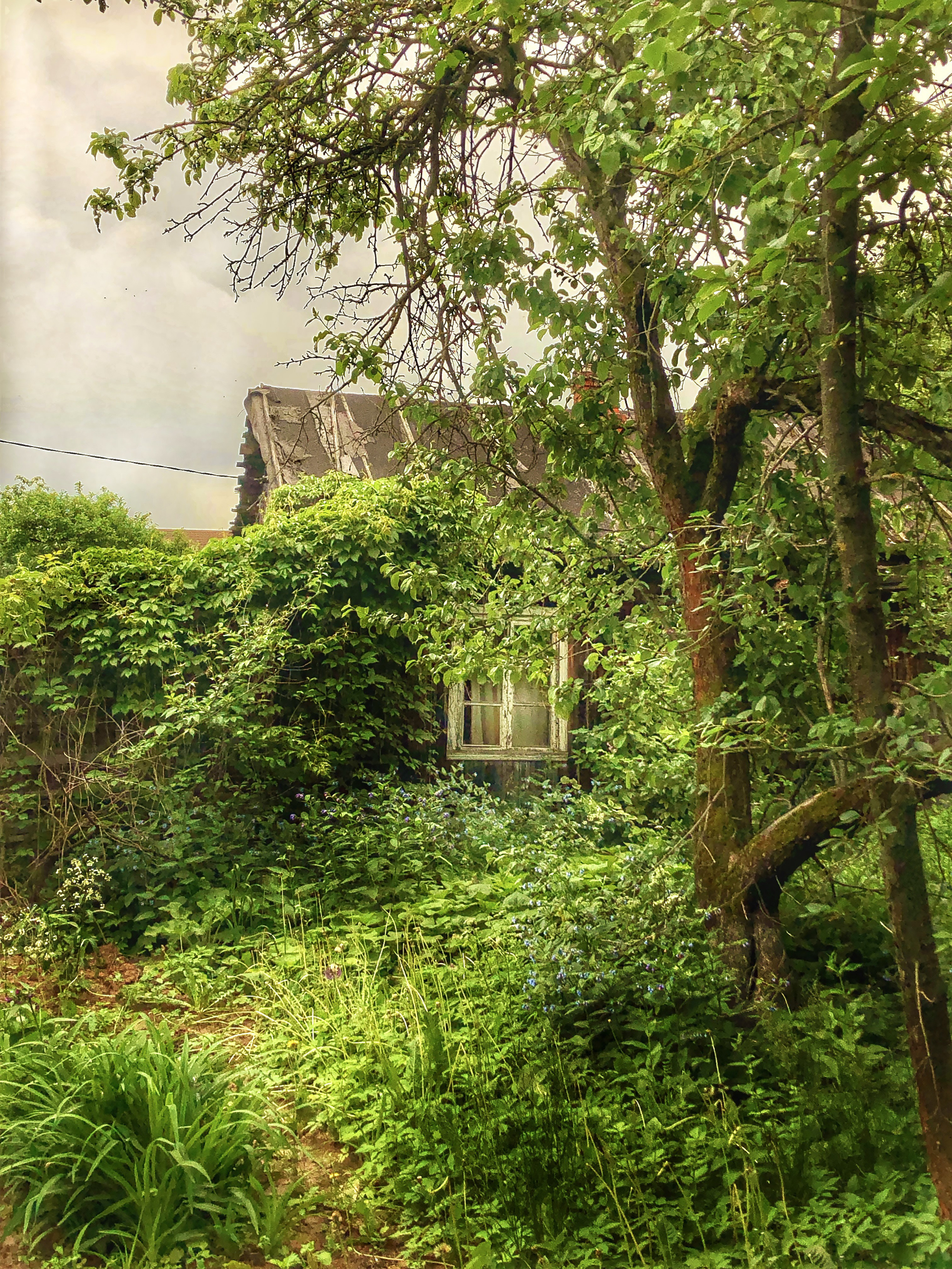 Снято на телефон. Фотография, ретушь, сканирование, восстановление старых фото, интерьерная съёмка, студия. Данилов Александр, Москва