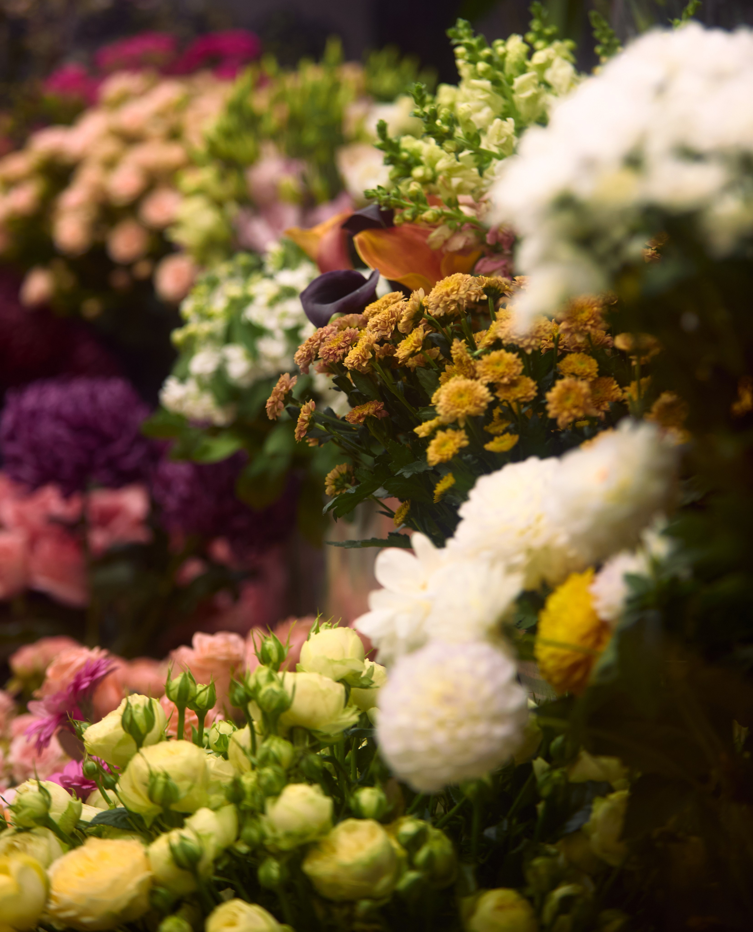 ART-HAOS. Фотограф видеограф в Москве и Московской области Саша Секрет