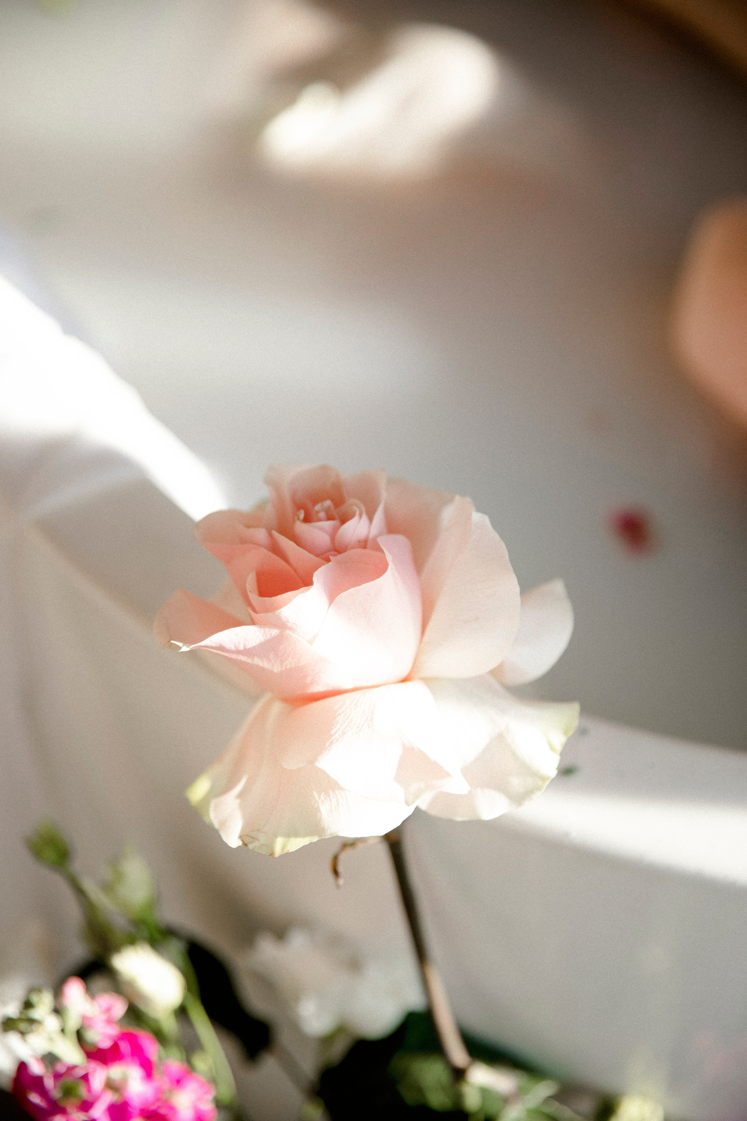 Дарья. Свадебный и портретный фотограф