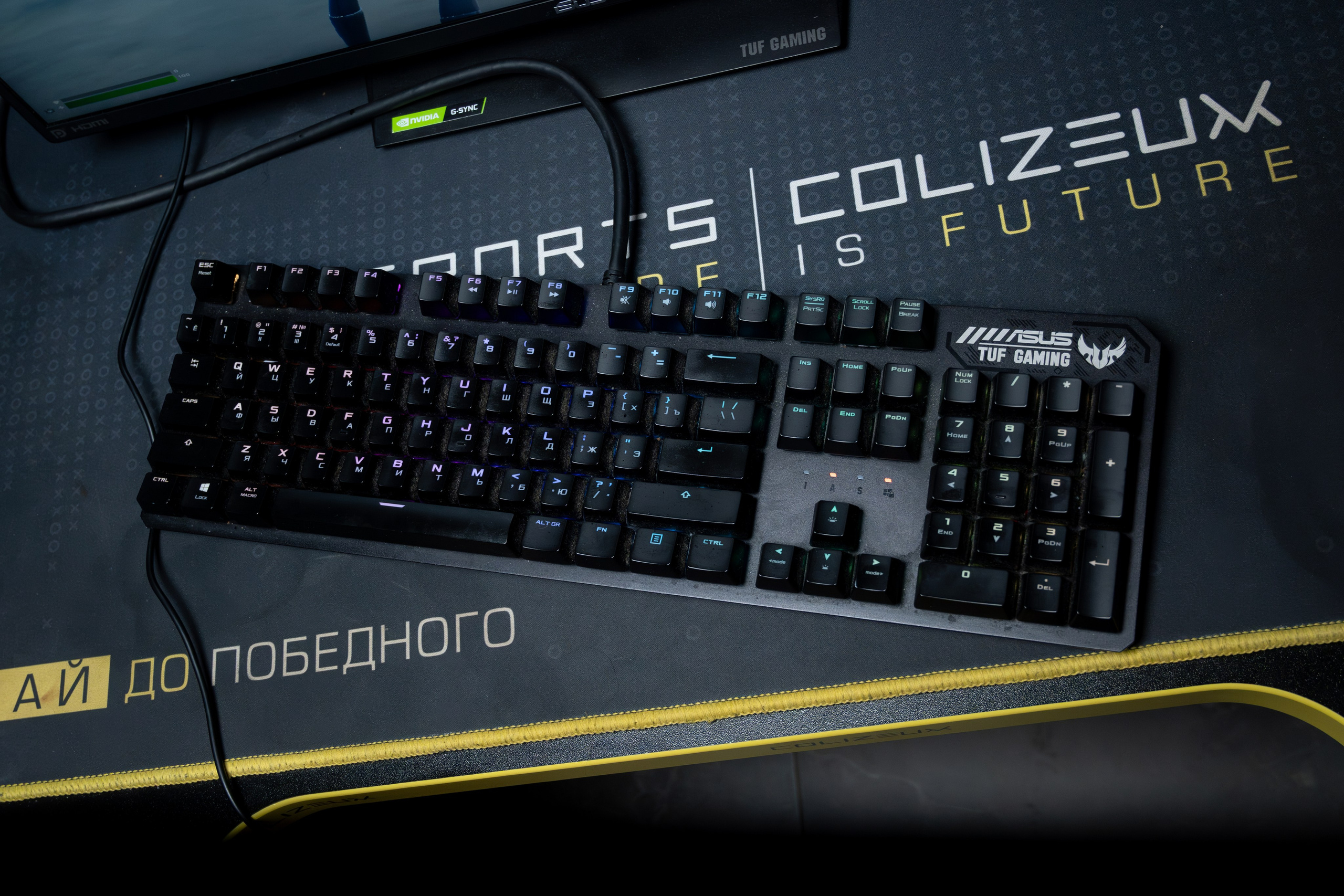 Репортаж в киберспортивном клубе Kolizeum. Фотограф мероприятий в Москве