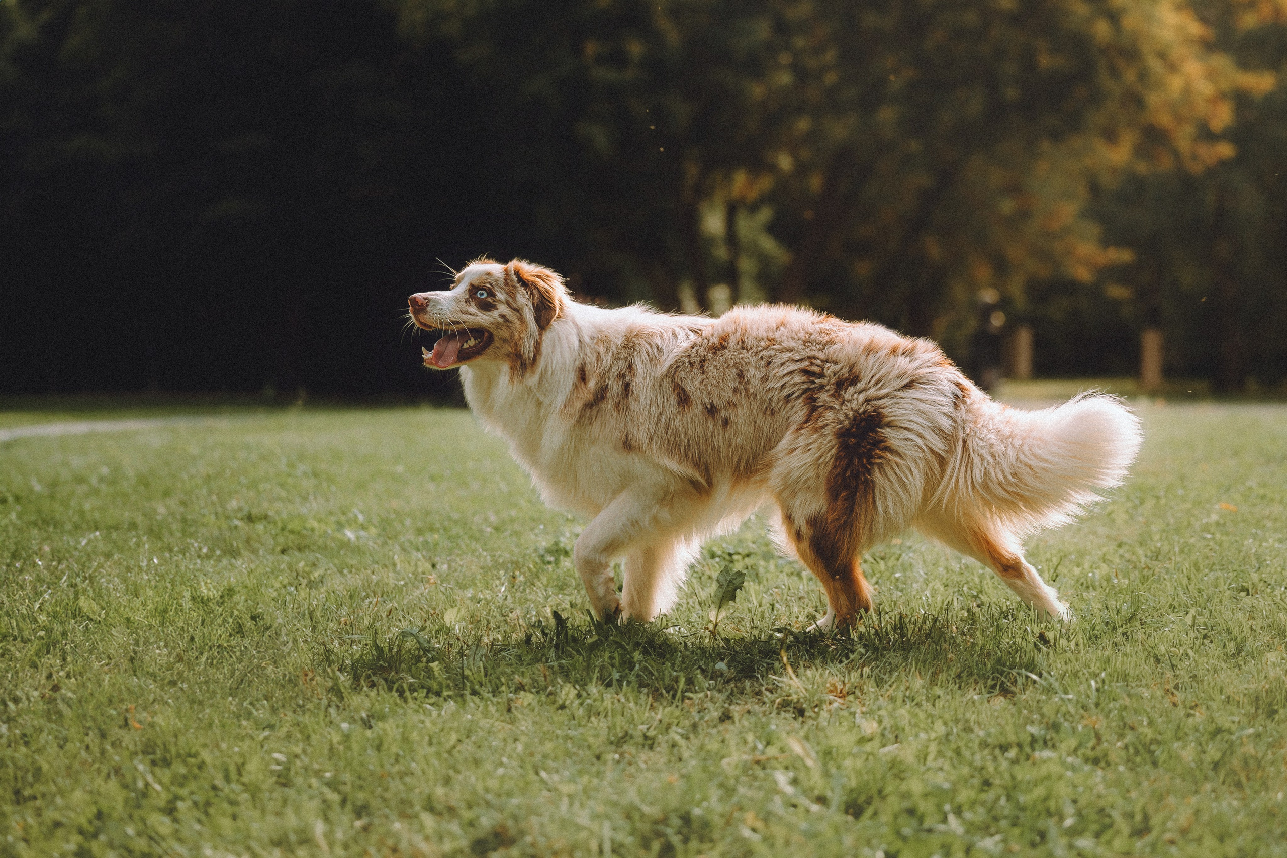 Один и его семья
