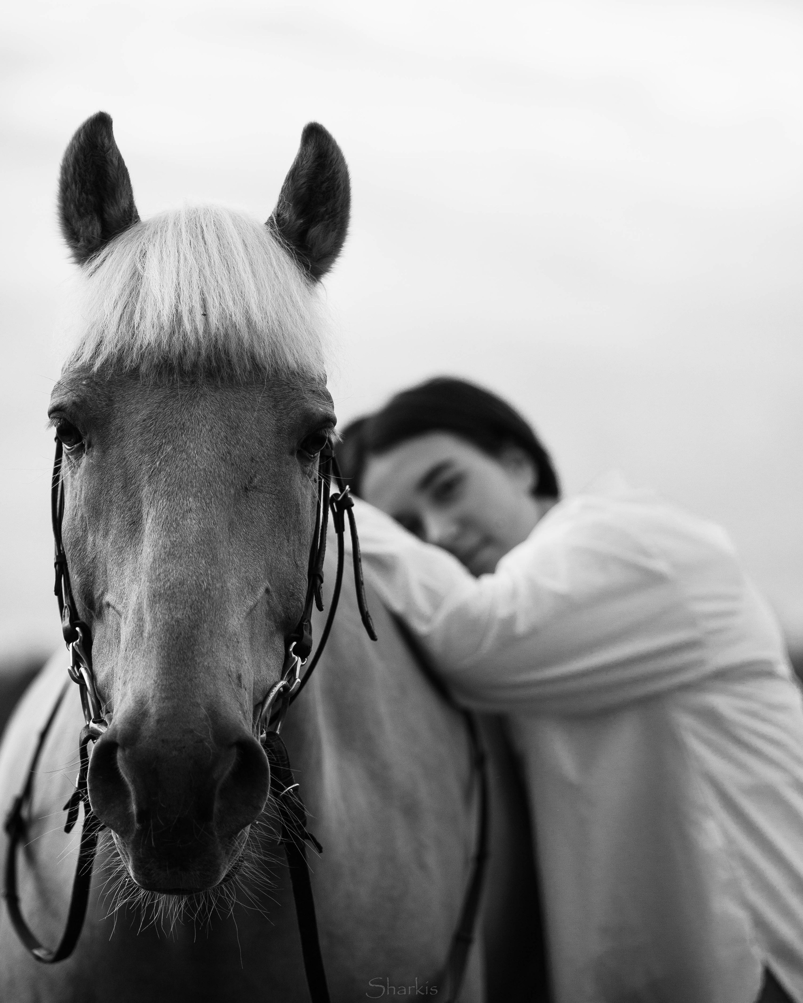 Алина и Гешефт. Главная