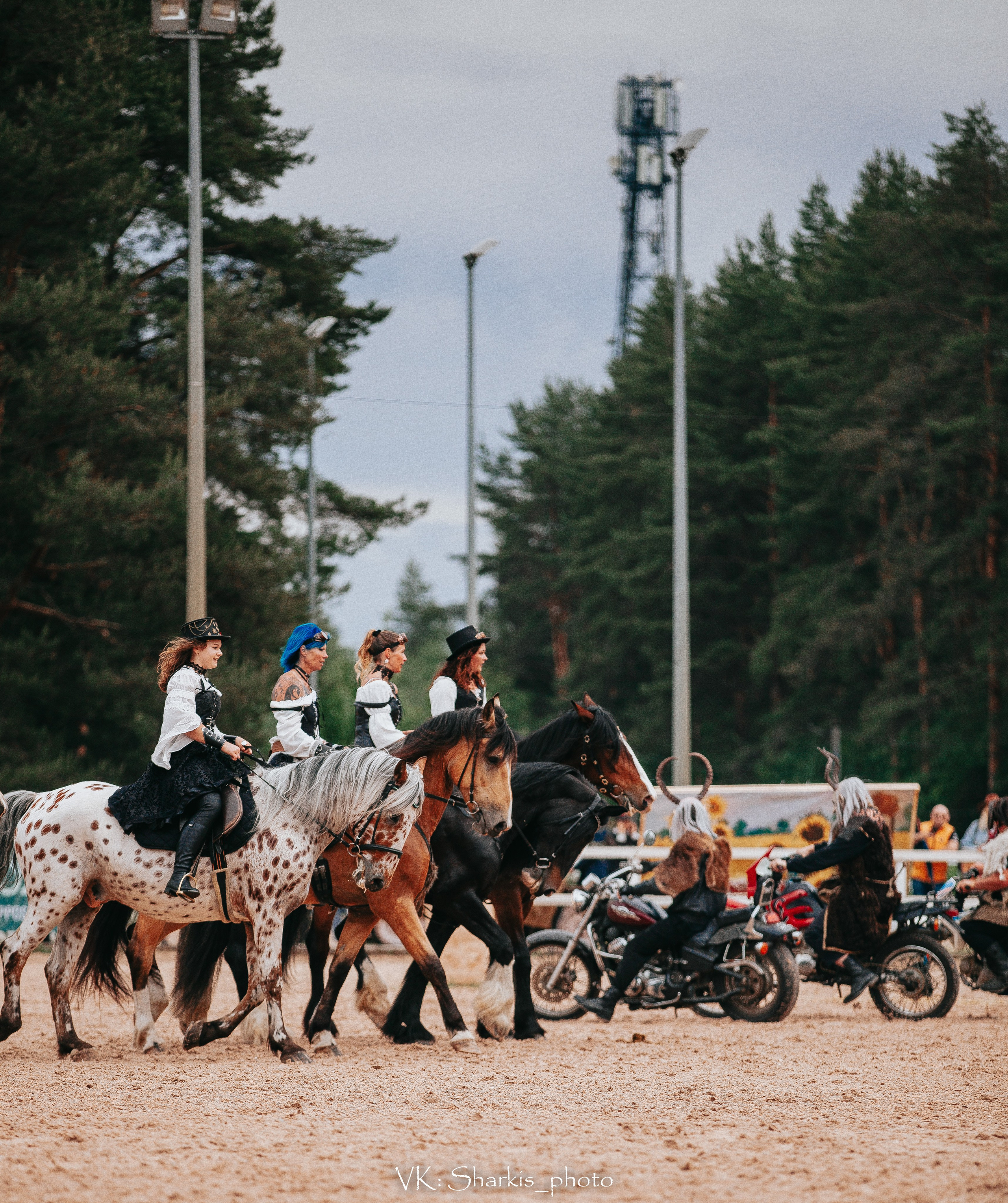 Лошади. Главная