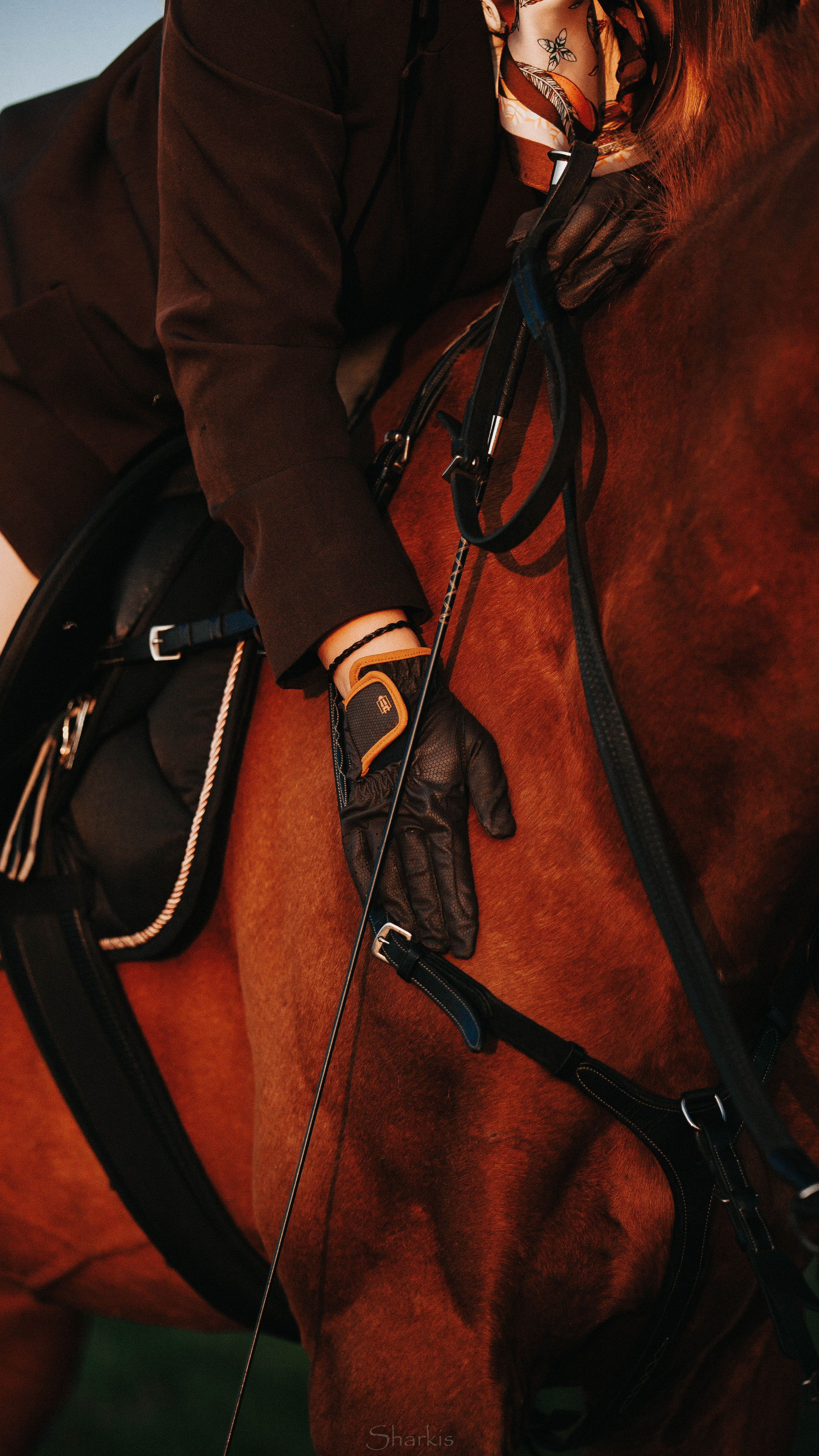 Аня и Гас. Главная