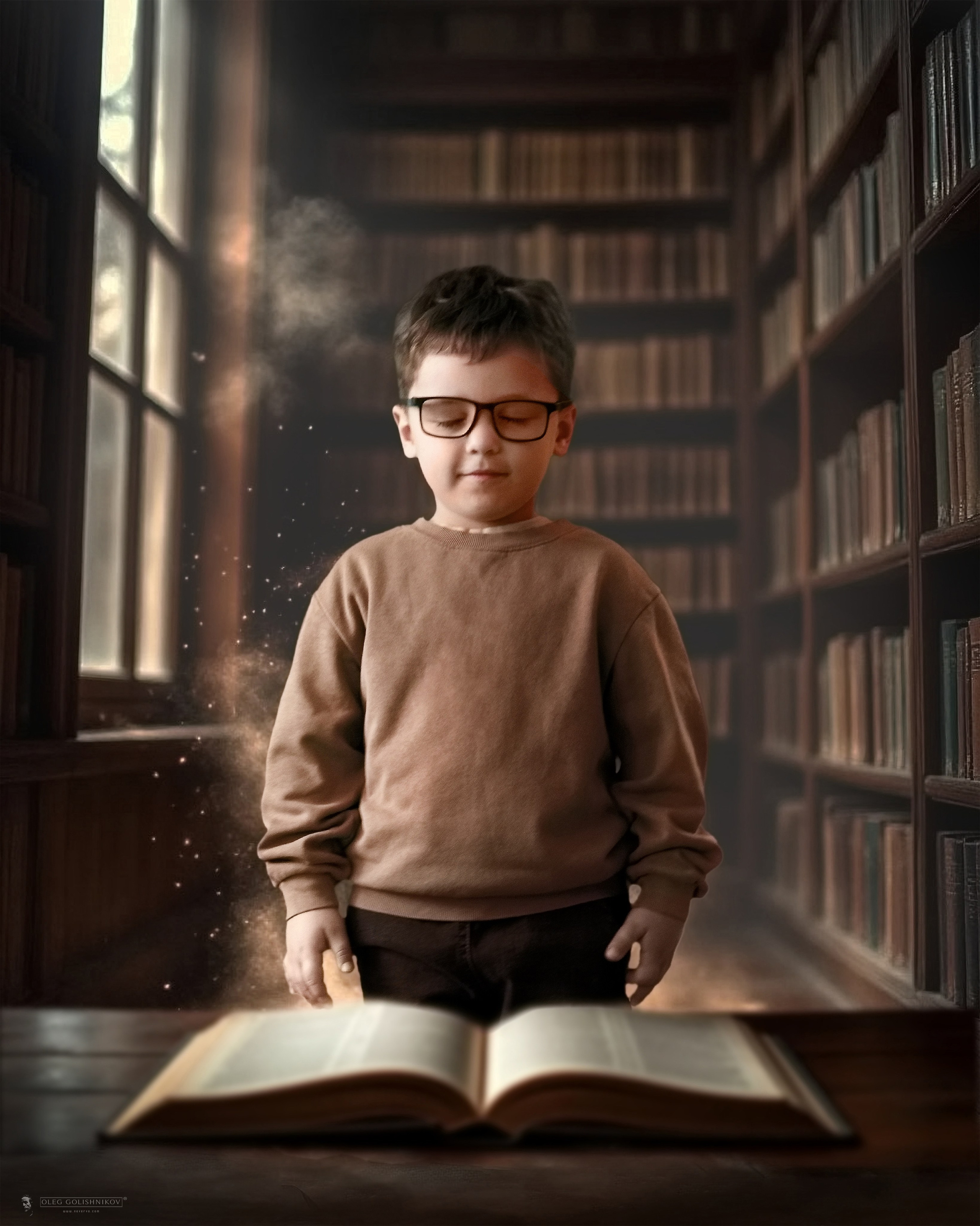 Библиотека. Арт-фотограф Олег Голишников. Творческая мастерская