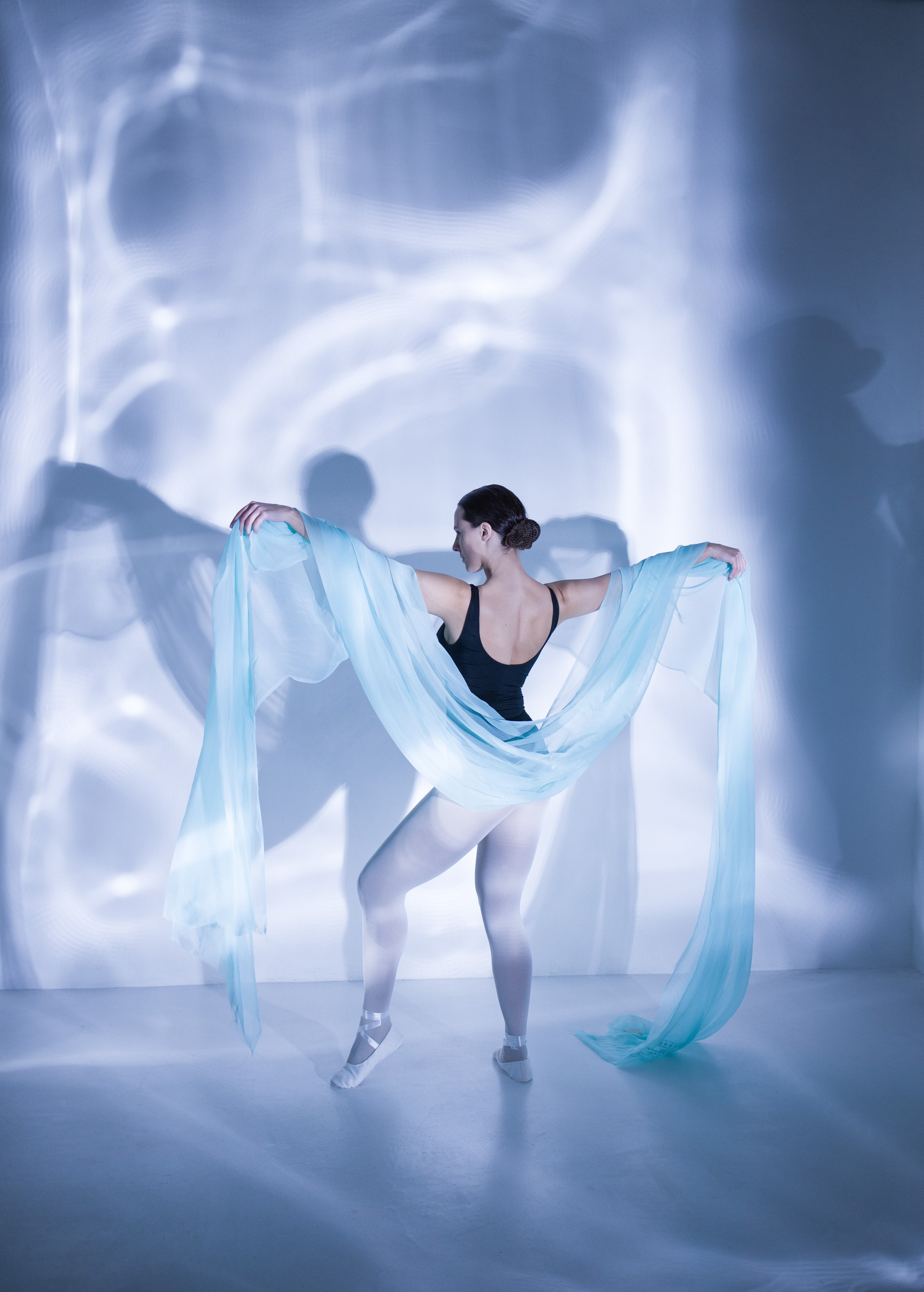 Лилия. Художественная фотография