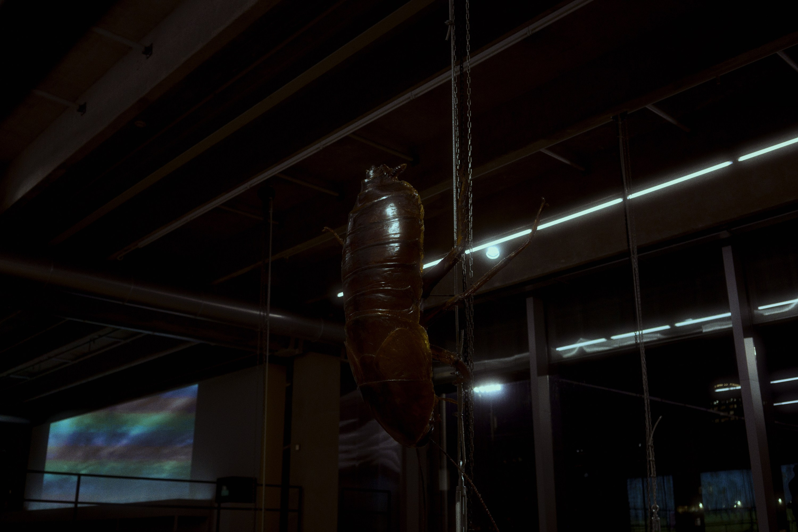 Garage MCA / “Грядущий мир: экология как новая политика. 2030–2100”. Фотограф Юрин Евгений