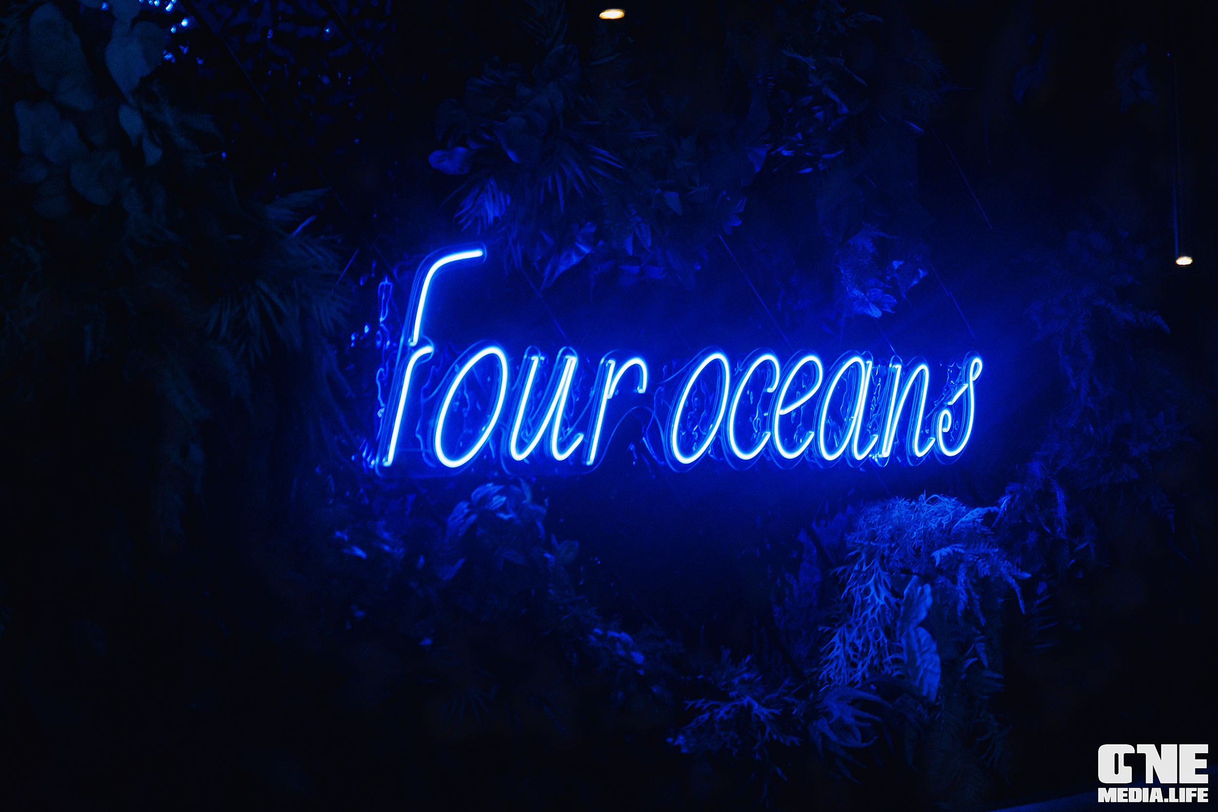 Фоторепортаж из ресторана Океан. One Media Life: фоторепортажи, фотоотчеты с мероприятий и заведений