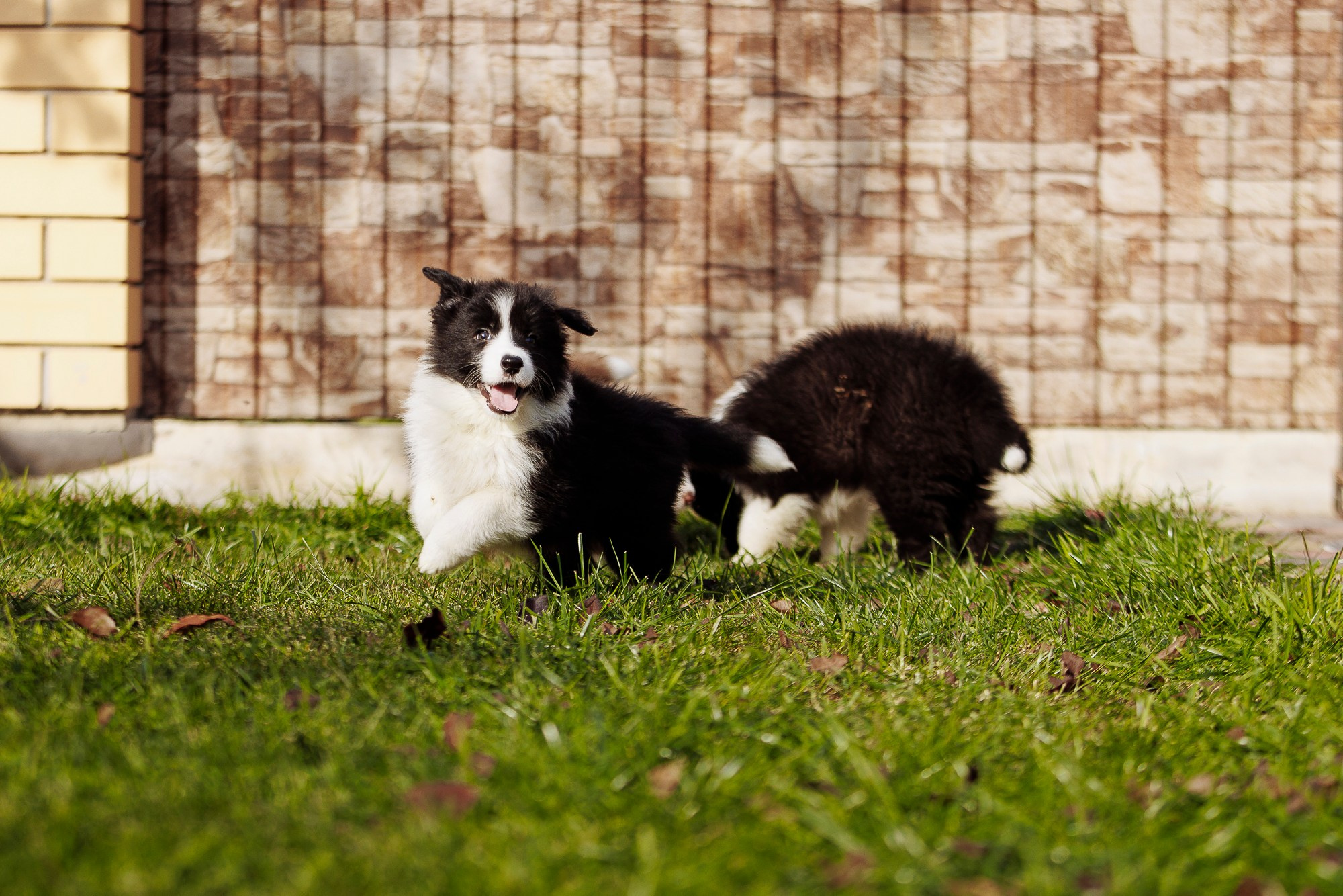 У дома с большой компанией от мала до велика. О нас