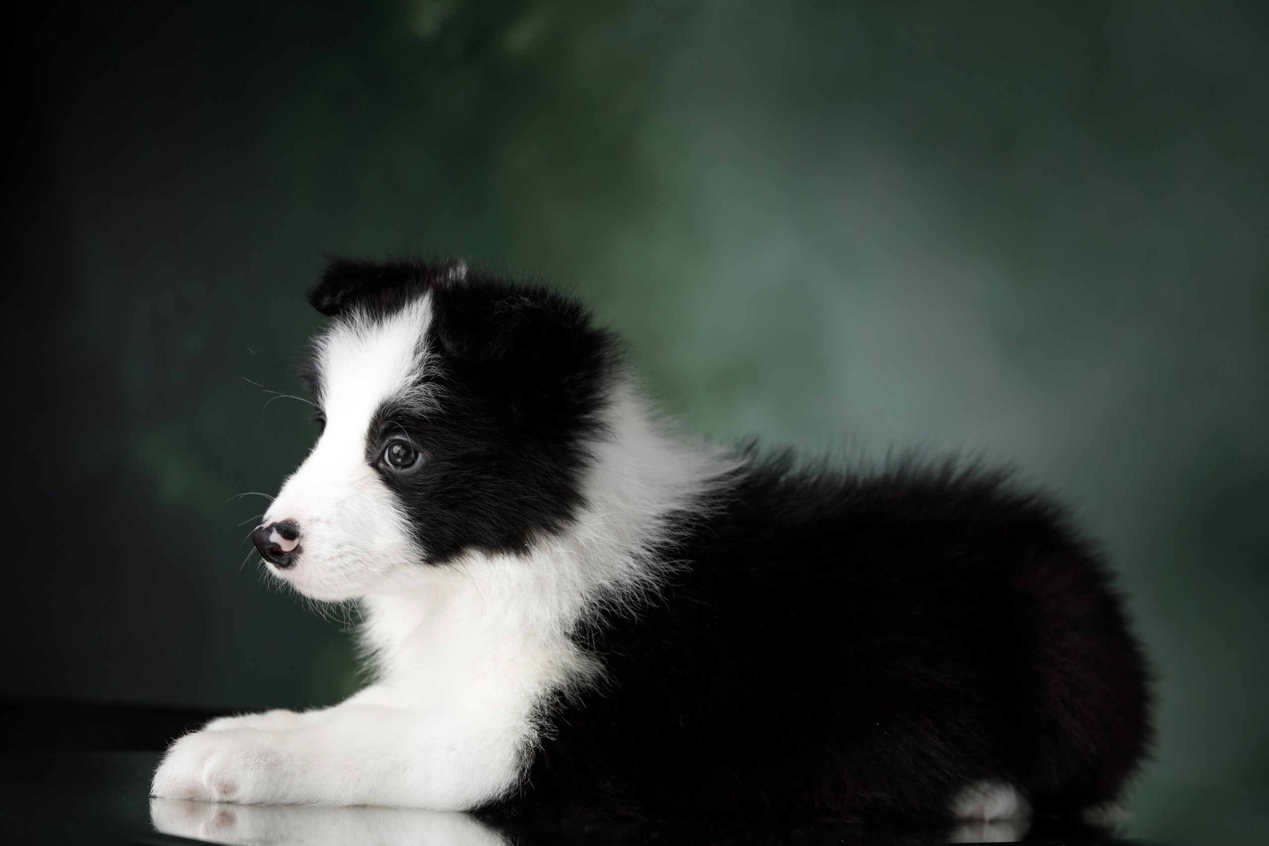 Март. Весна. 22. О нас