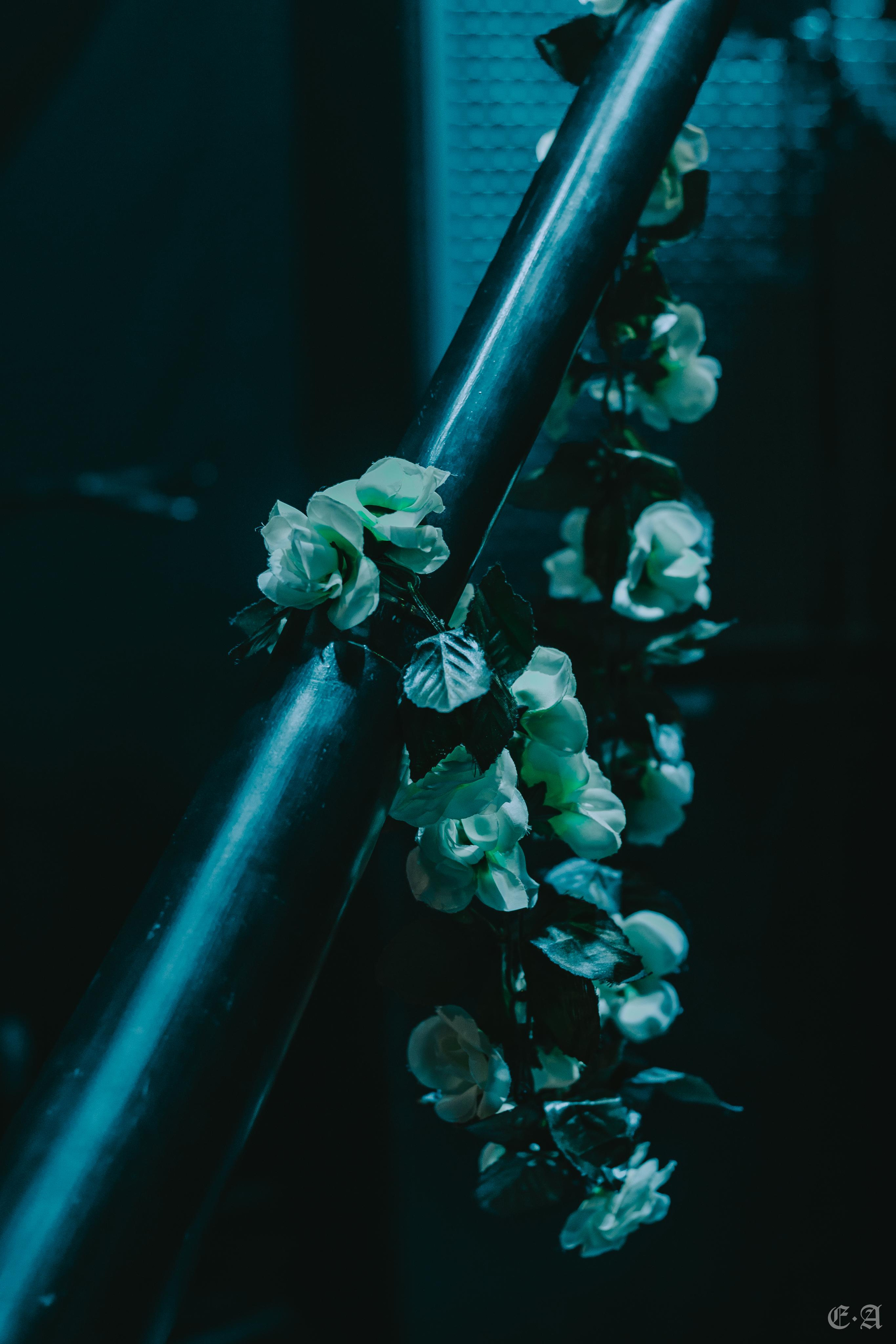 Фестиваль MABON 2022. Фотограф Ellairen