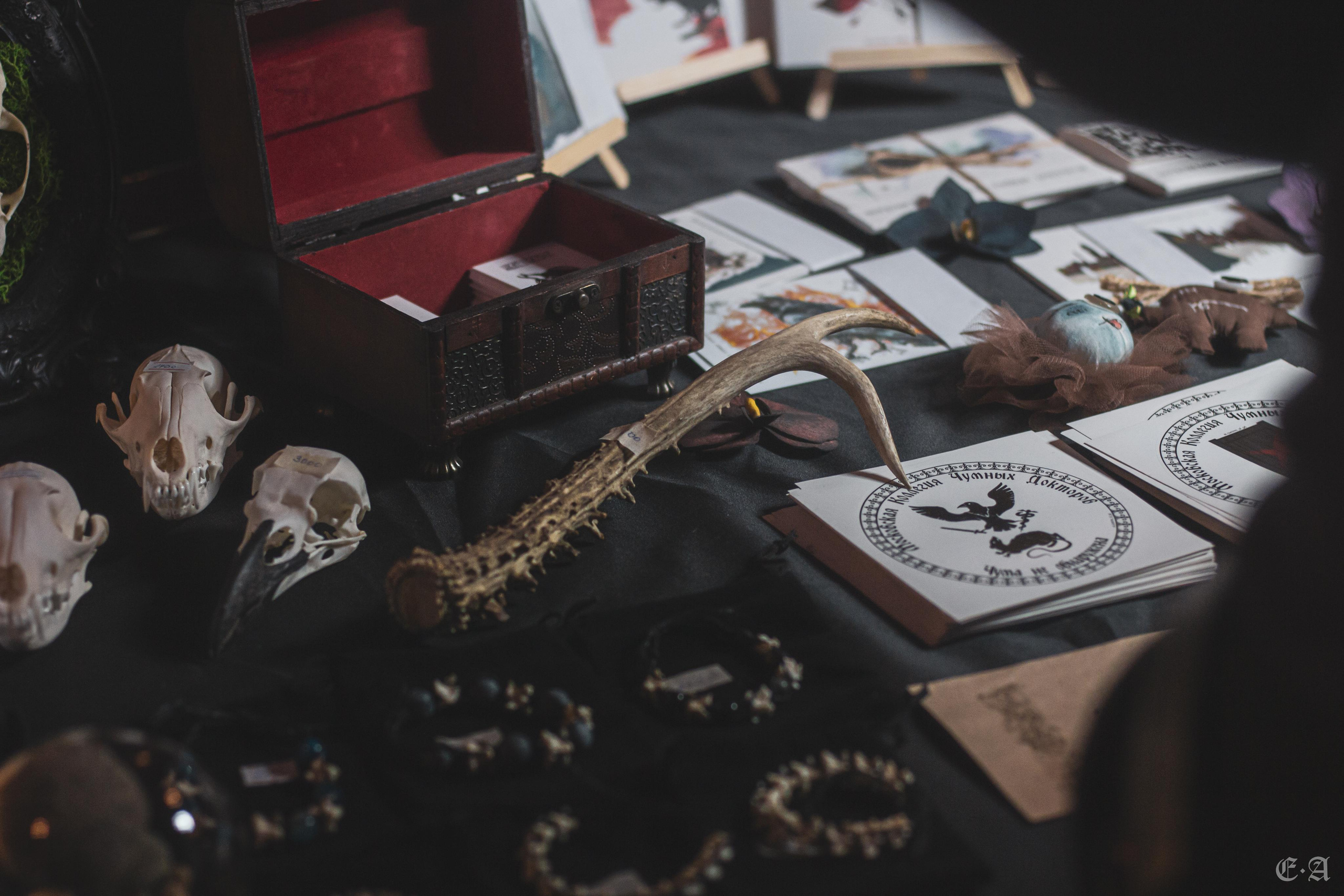 Фестиваль MABON 2022. Фотограф Ellairen