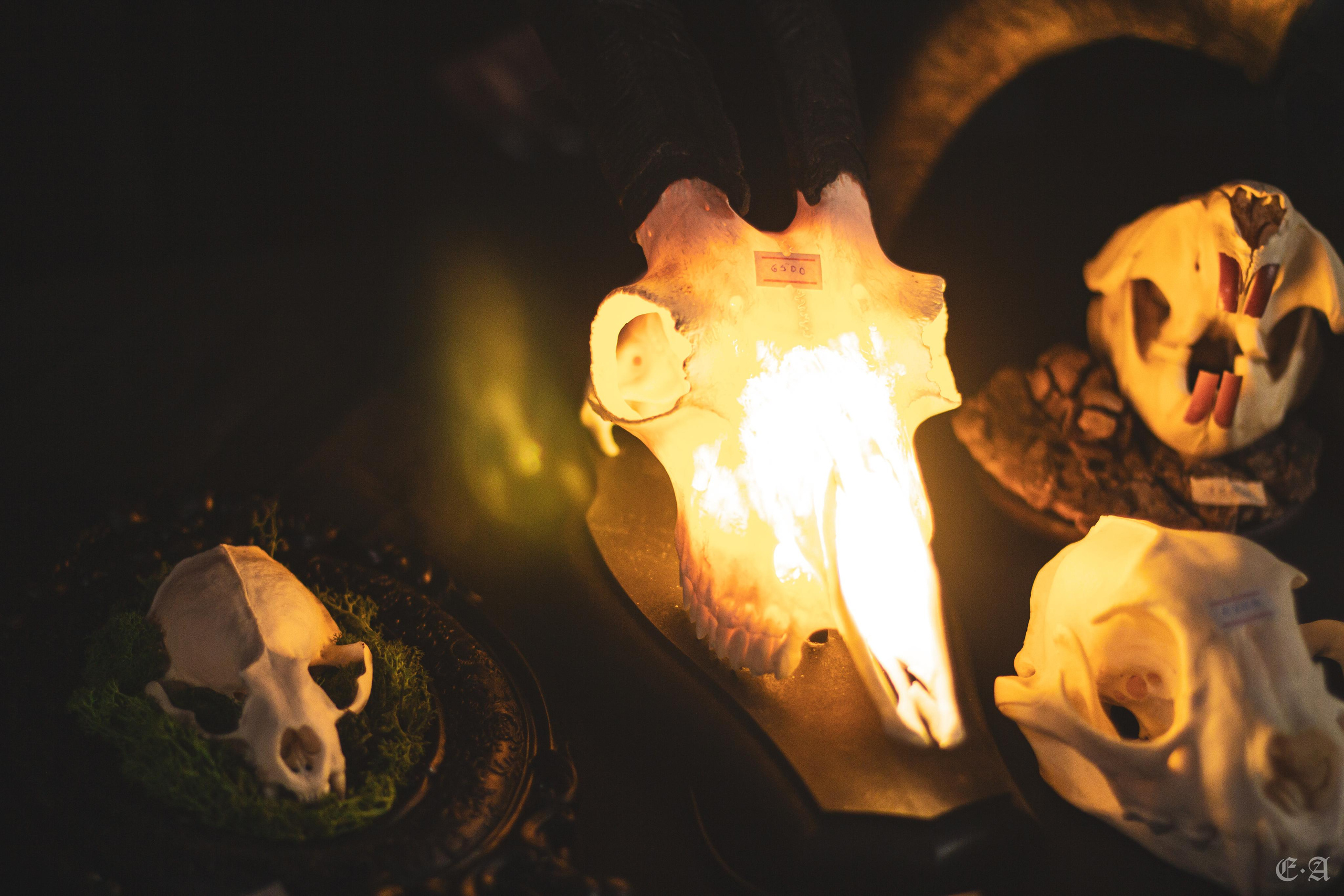 Фестиваль MABON 2022. Фотограф Ellairen