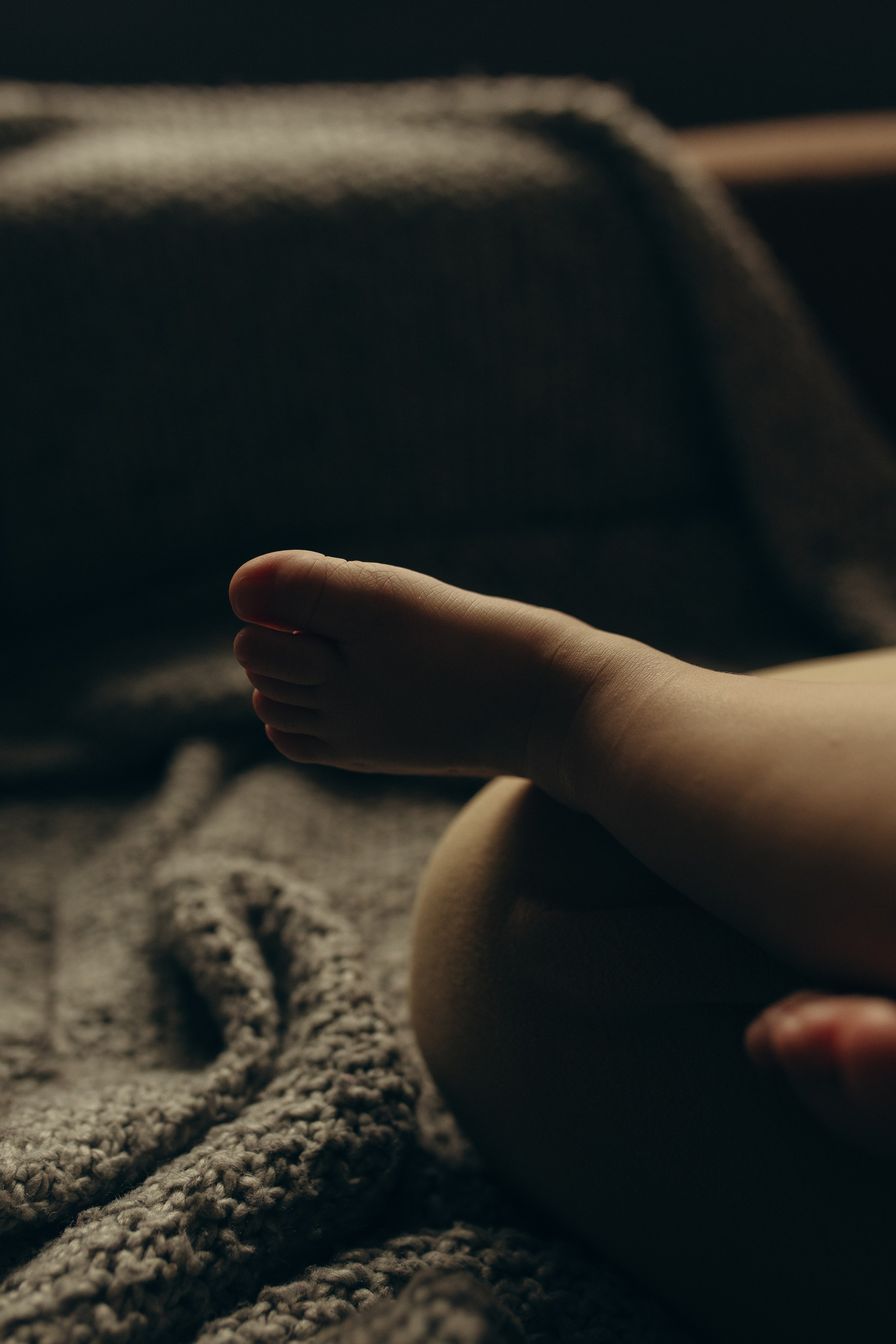 Домашняя история. Meryfotoidea