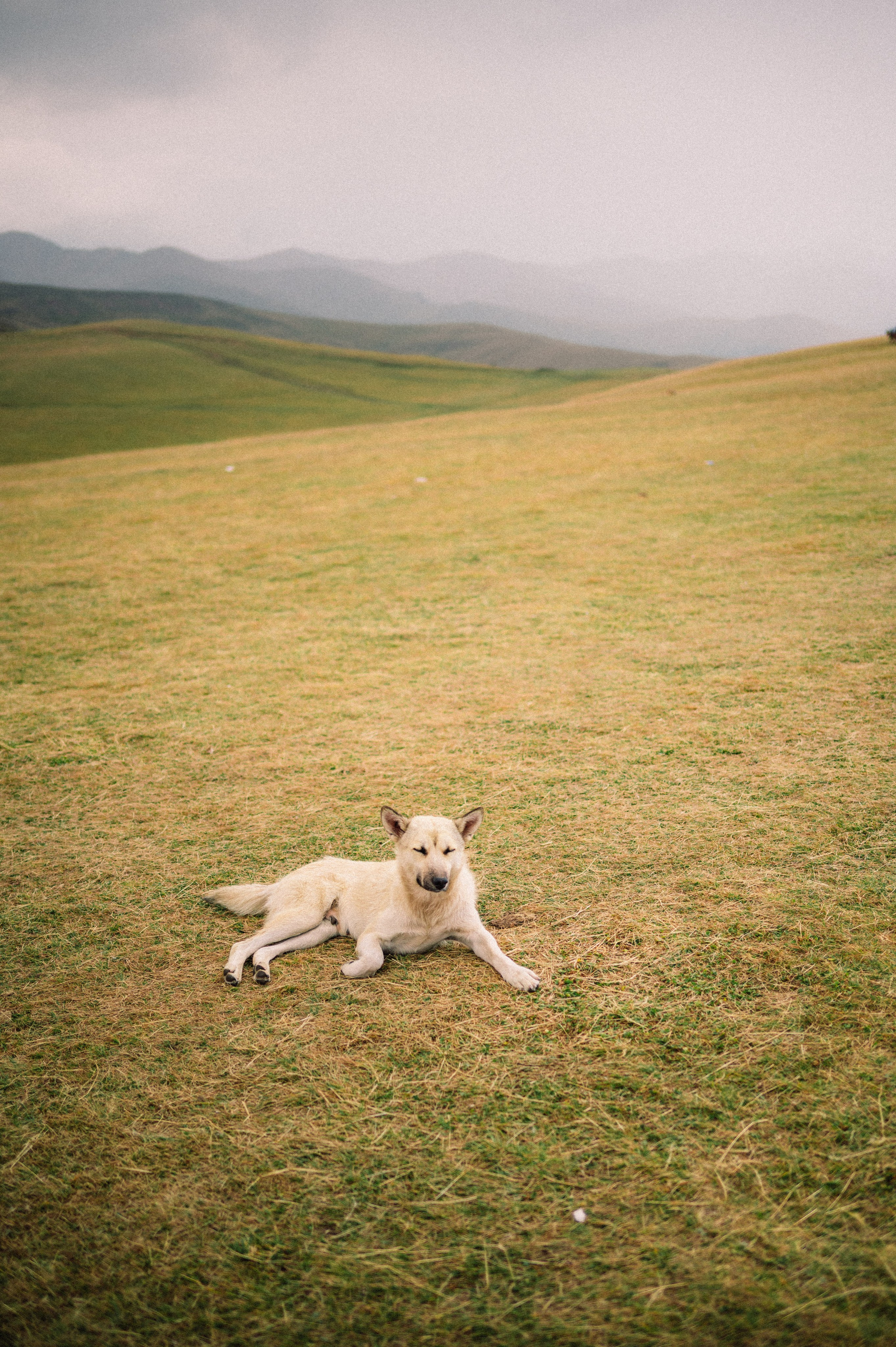 Плато Ассы: июль 2025. Фотограф в Алматы — Дарья Фёдорова