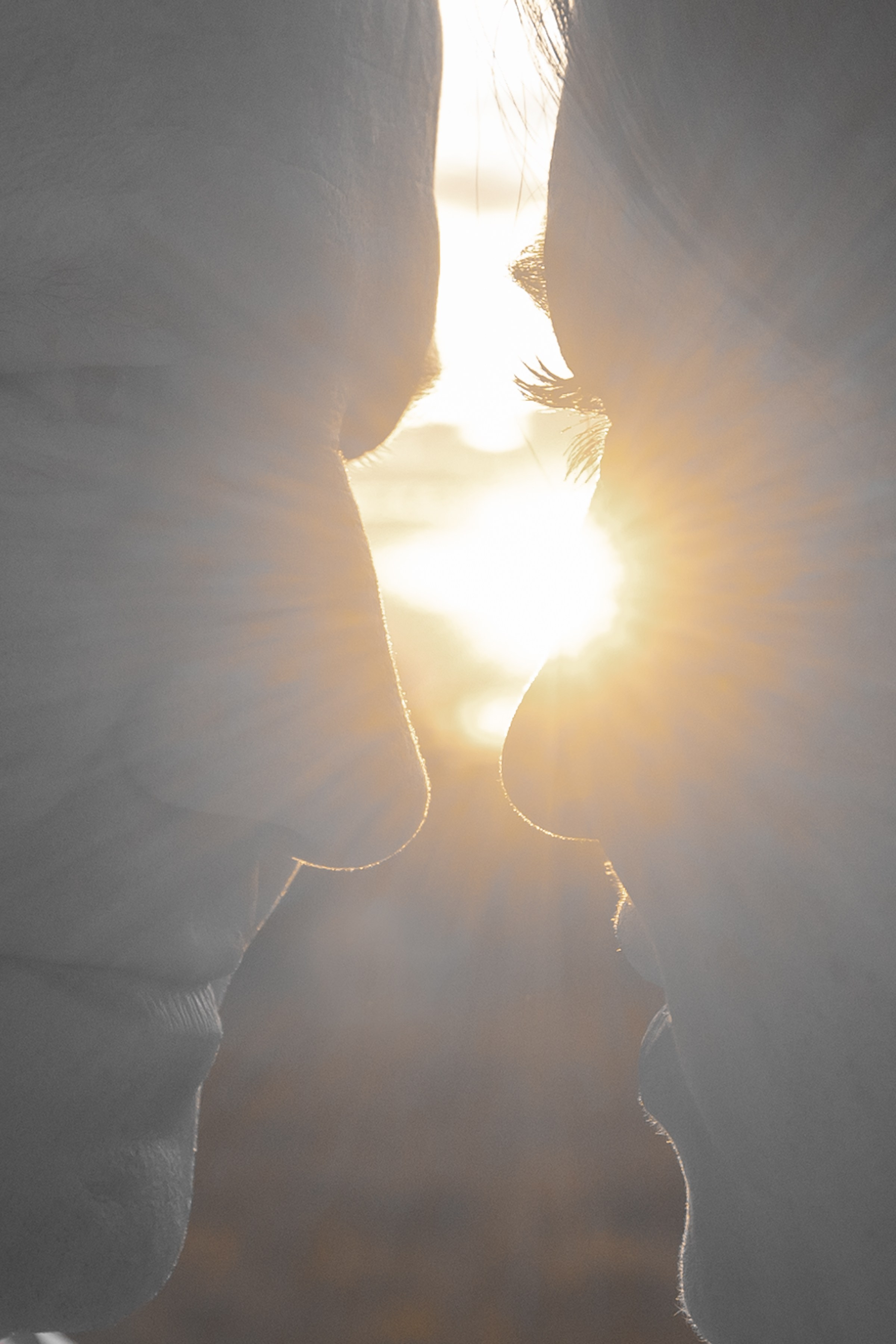 Семейная фотосессия Гиззатуллиных