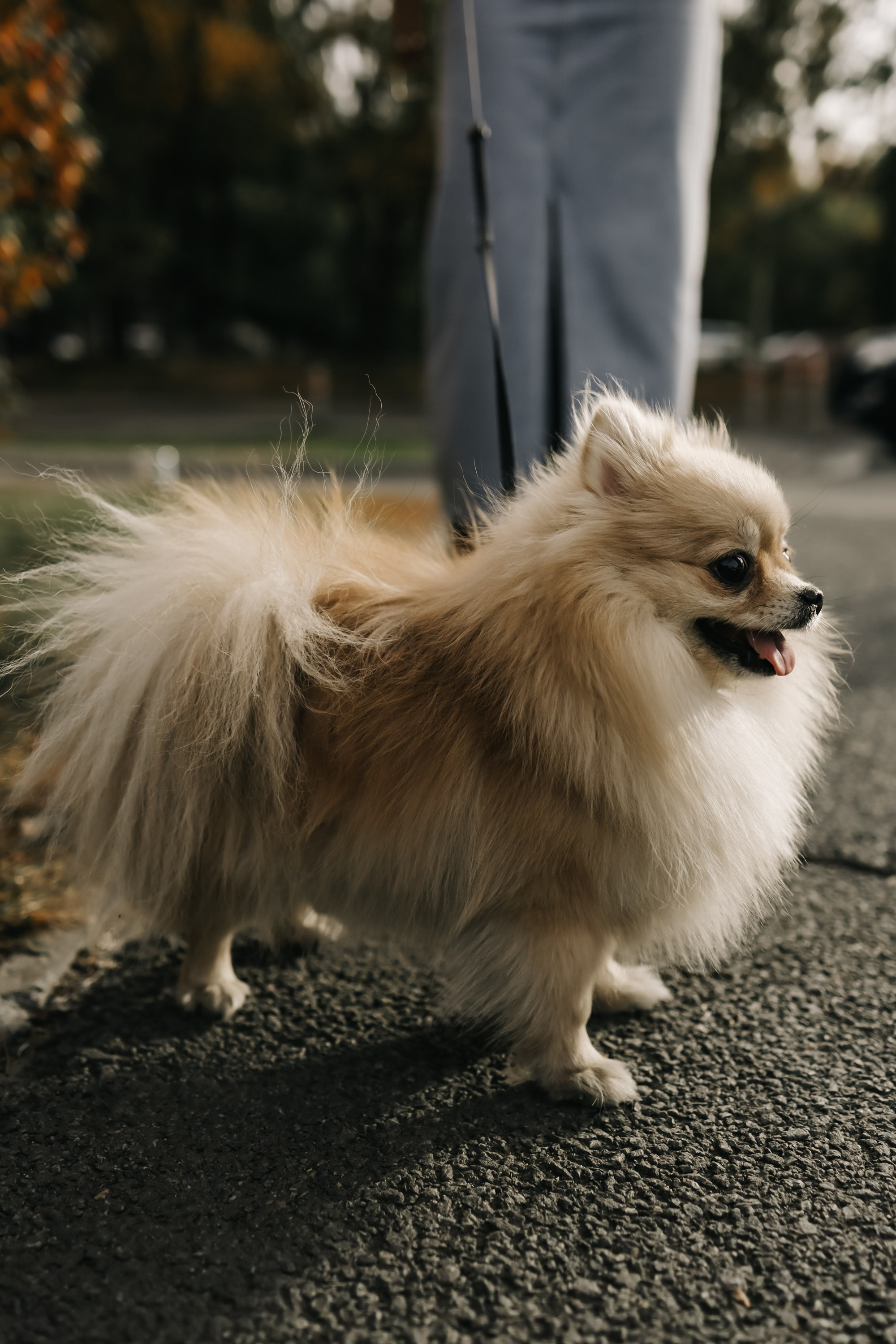 Екатерина. Фотограф свадебный, репортажный, индивидуальный, фото для маркетплейсов, брендов, автосалонов