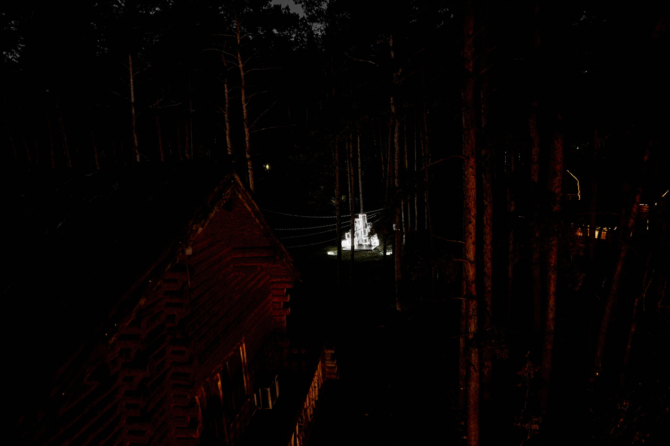 Черно-белое волшебство. Свадебный фотограф в Ульяновске Александр Никитин