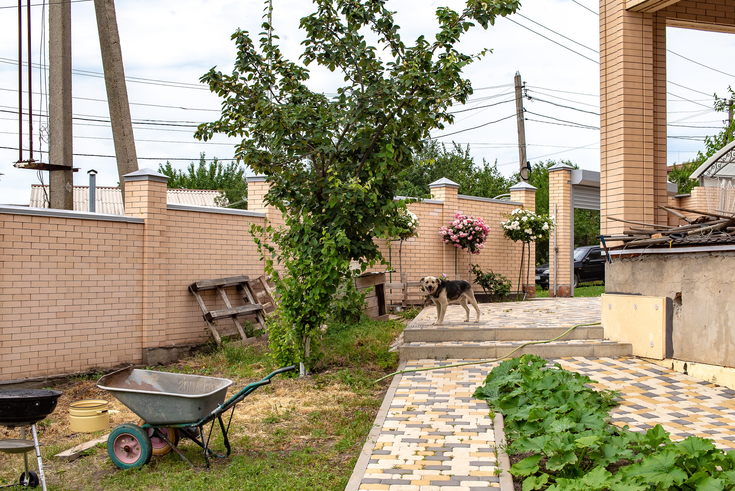 Милое торжество. Максим Матвийченко и Виктория Басова профессионалы своего дела