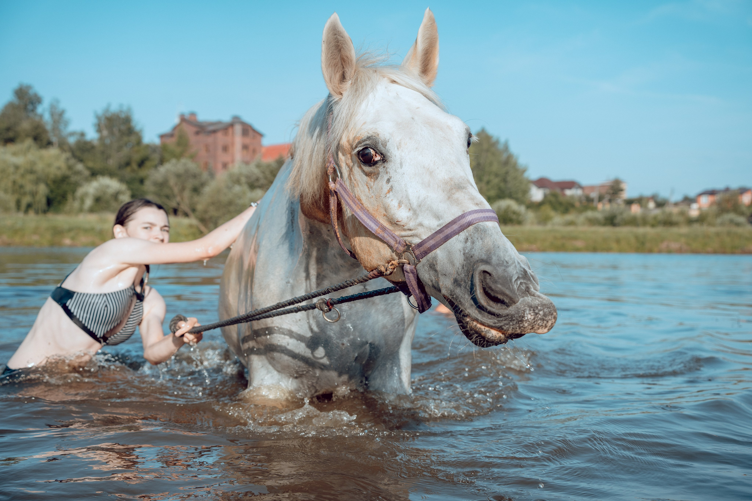 Купание лошадей 05.07.2024. Портретный и семейный фотограф в Москве/Видное